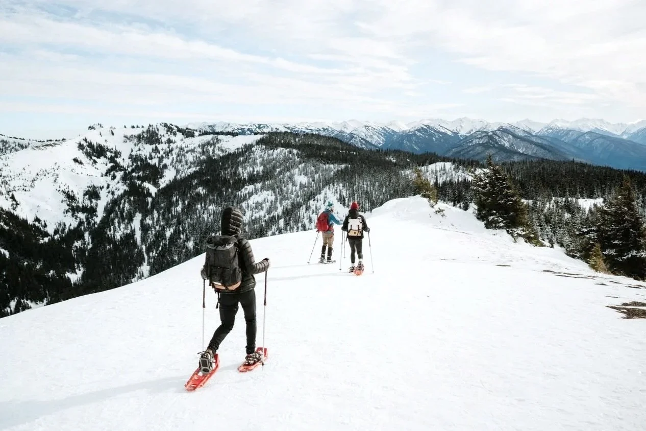 Hurricane Ridge Snowshoeing // March 6th-8th