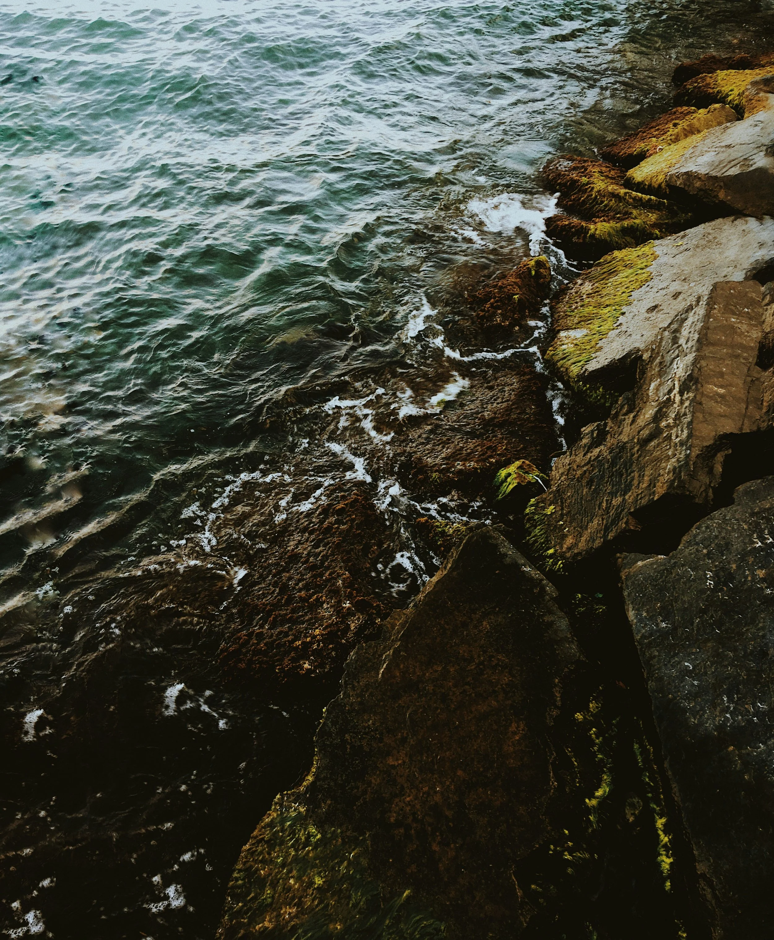 Close-up of rocks on a shoreline with water gently lapping around them, some rocks covered in green moss.