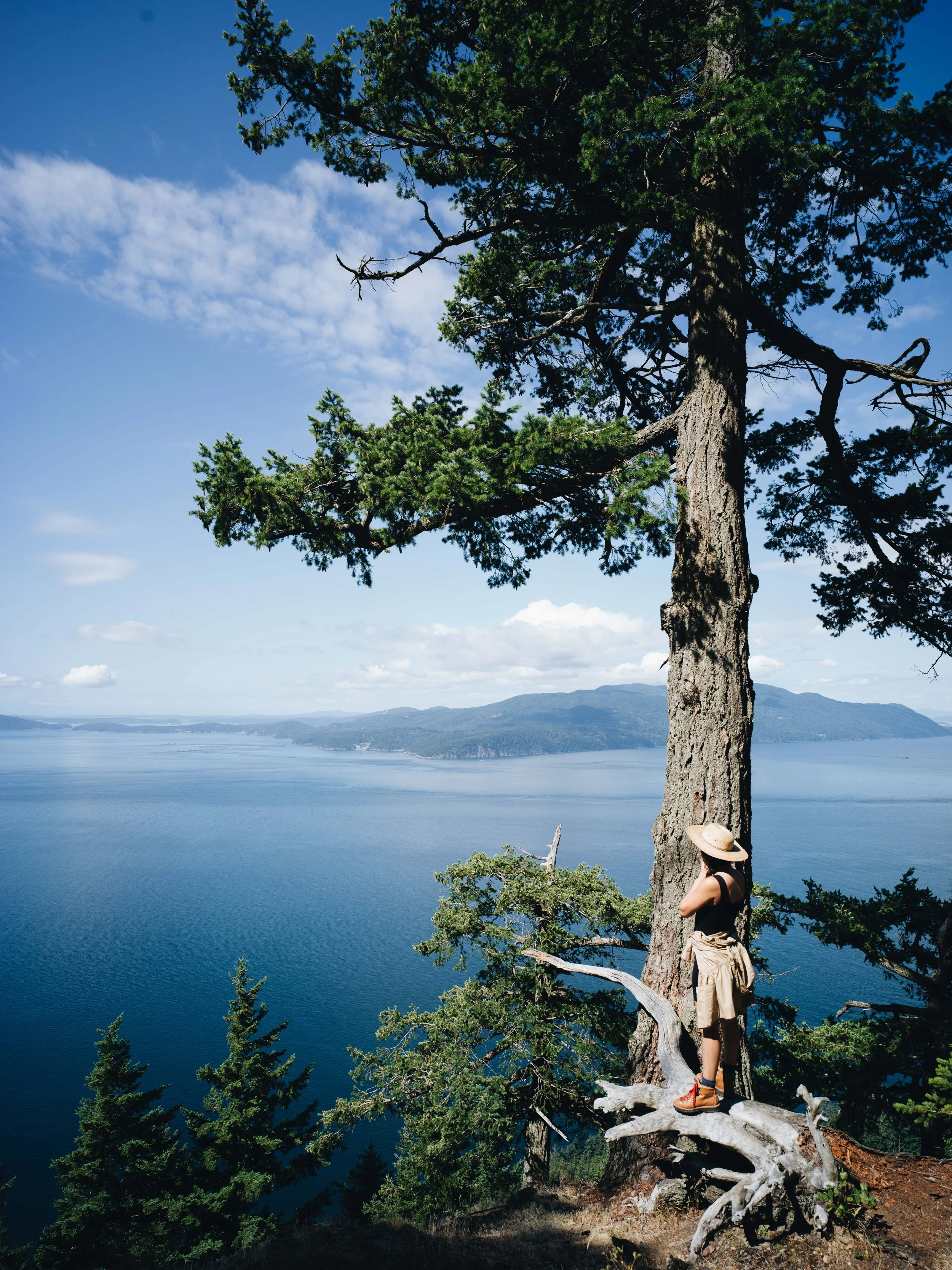 A person wearing a hat and black shirt standing on a fallen log, leaning against a large tree during a scenic overlook with a view of a large body of water and distant mountains under a partly cloudy sky.