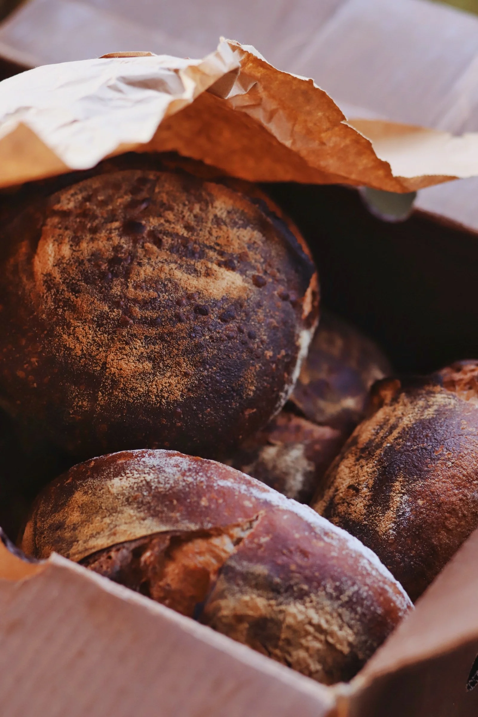 Close-up of grilled mushrooms with seasoning and powder in a paper bag.