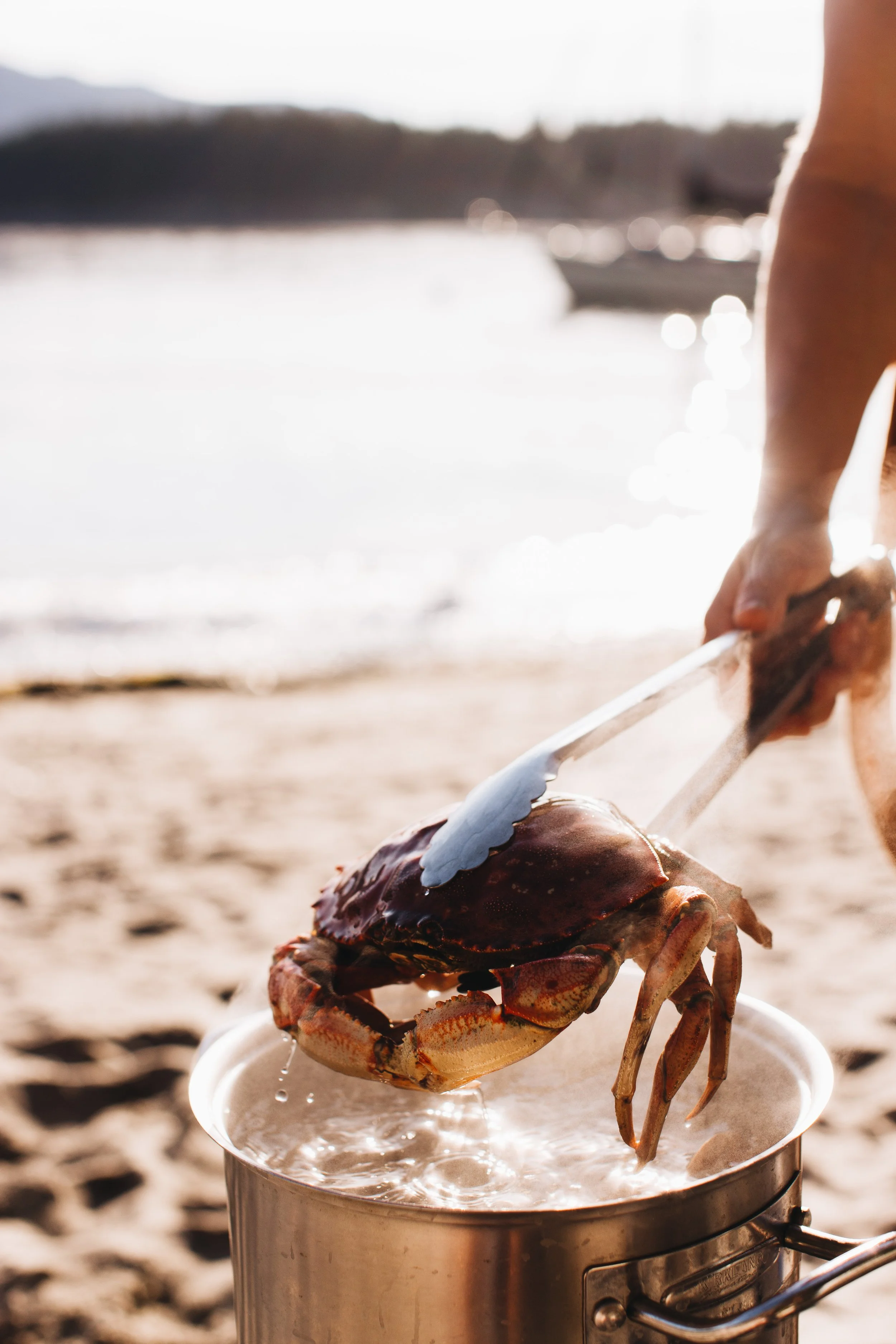 Person cooking a crab in a pot on the beach at sunset.