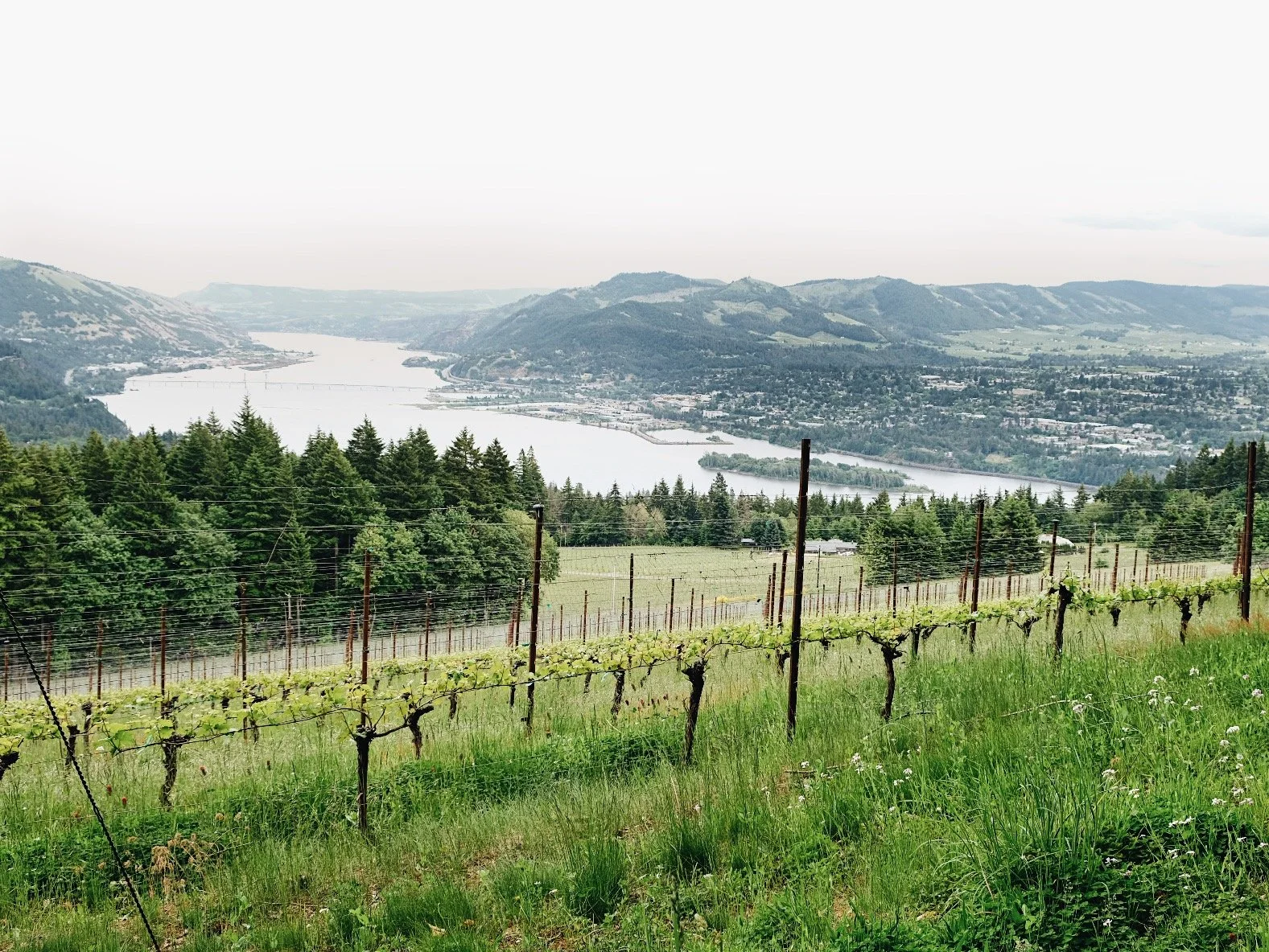 Wine Tour in The Gorge // October 9th-11th
