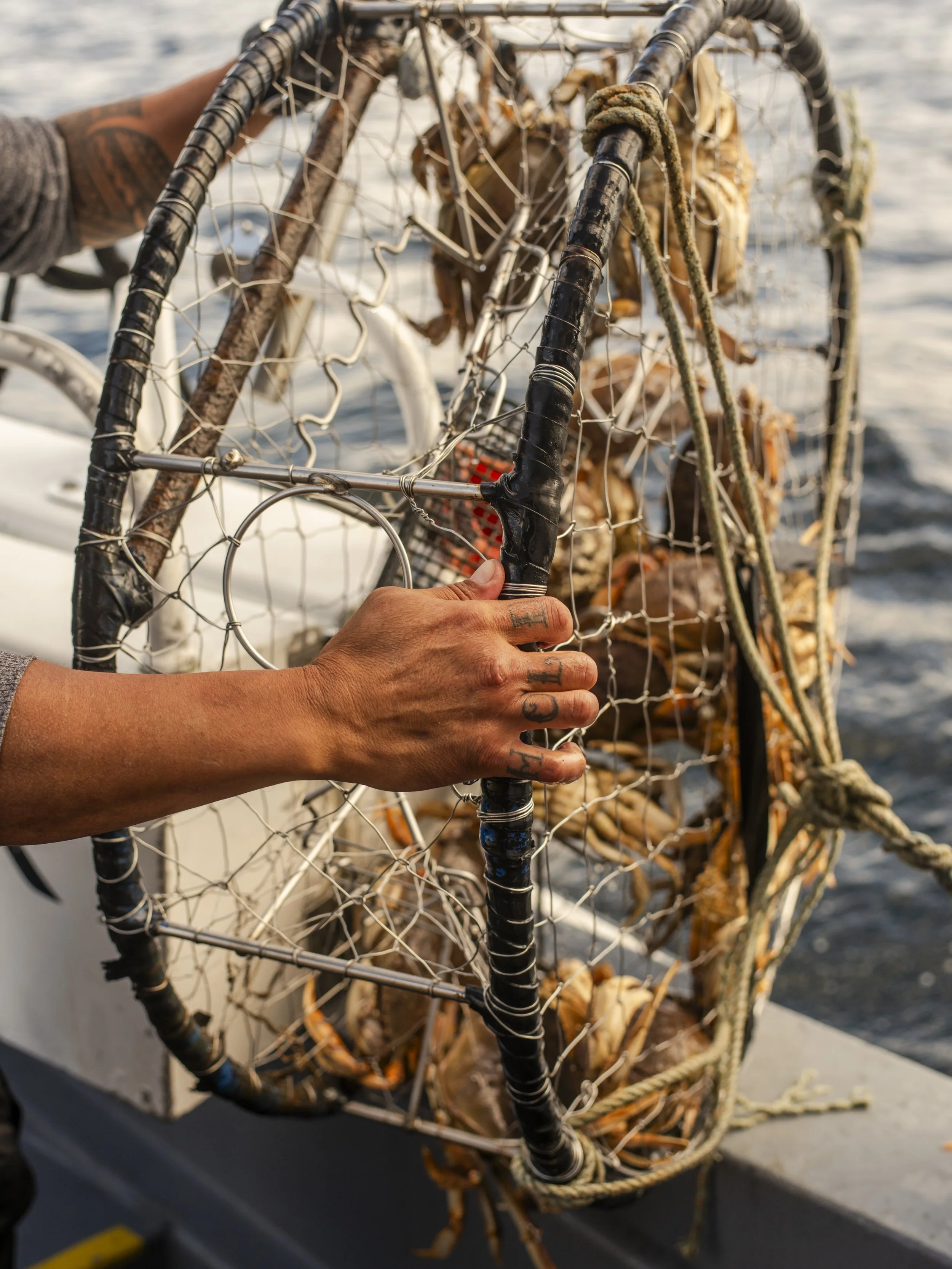 Lummi Island Crabbing // August 21st-23rd