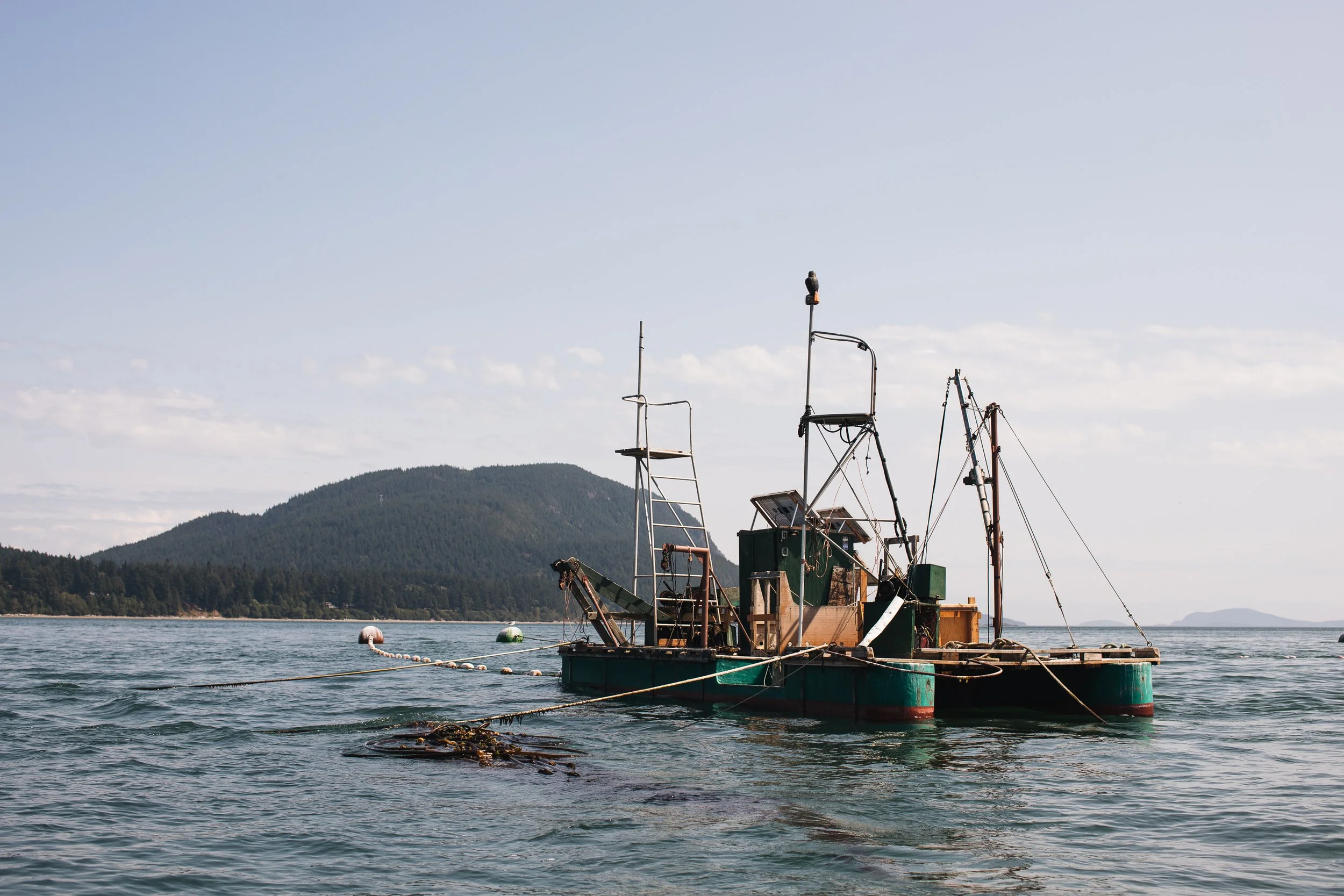 A weathered boat with various antennas and equipment floats on calm water near a forested coastline with a hill or mountain in the background under a partly cloudy sky.