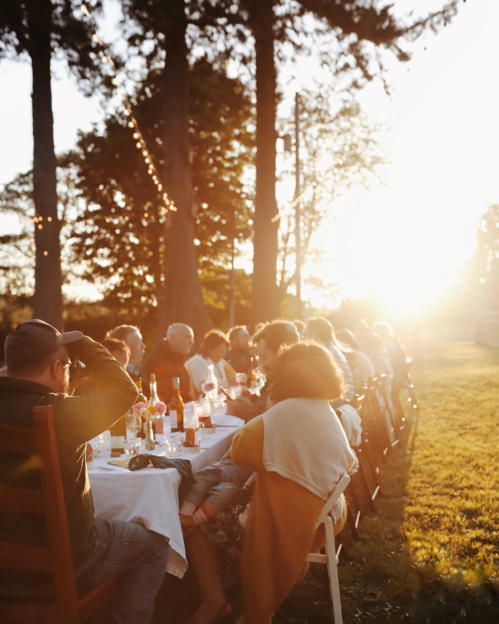 People enjoying an outdoor dinner party at sunset, seated at a long table with drinks and flowers, surrounded by tall trees.