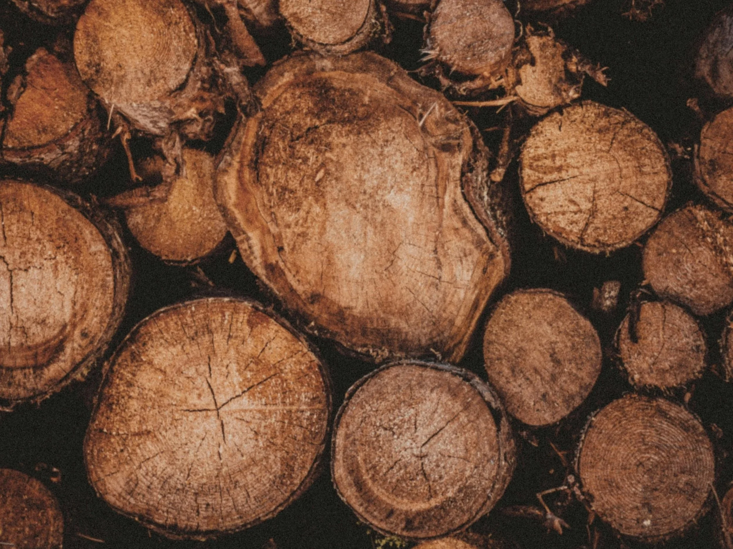 filippo-9QoSSIc95vU-unsplash.jpg
