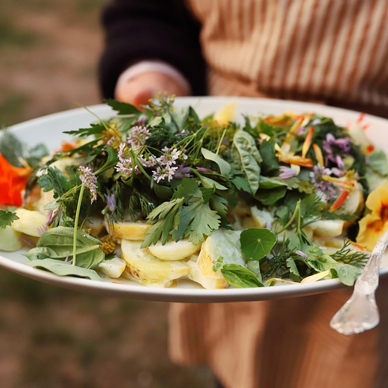 Person holding a white bowl filled with a salad topped with fresh herbs and edible flowers.