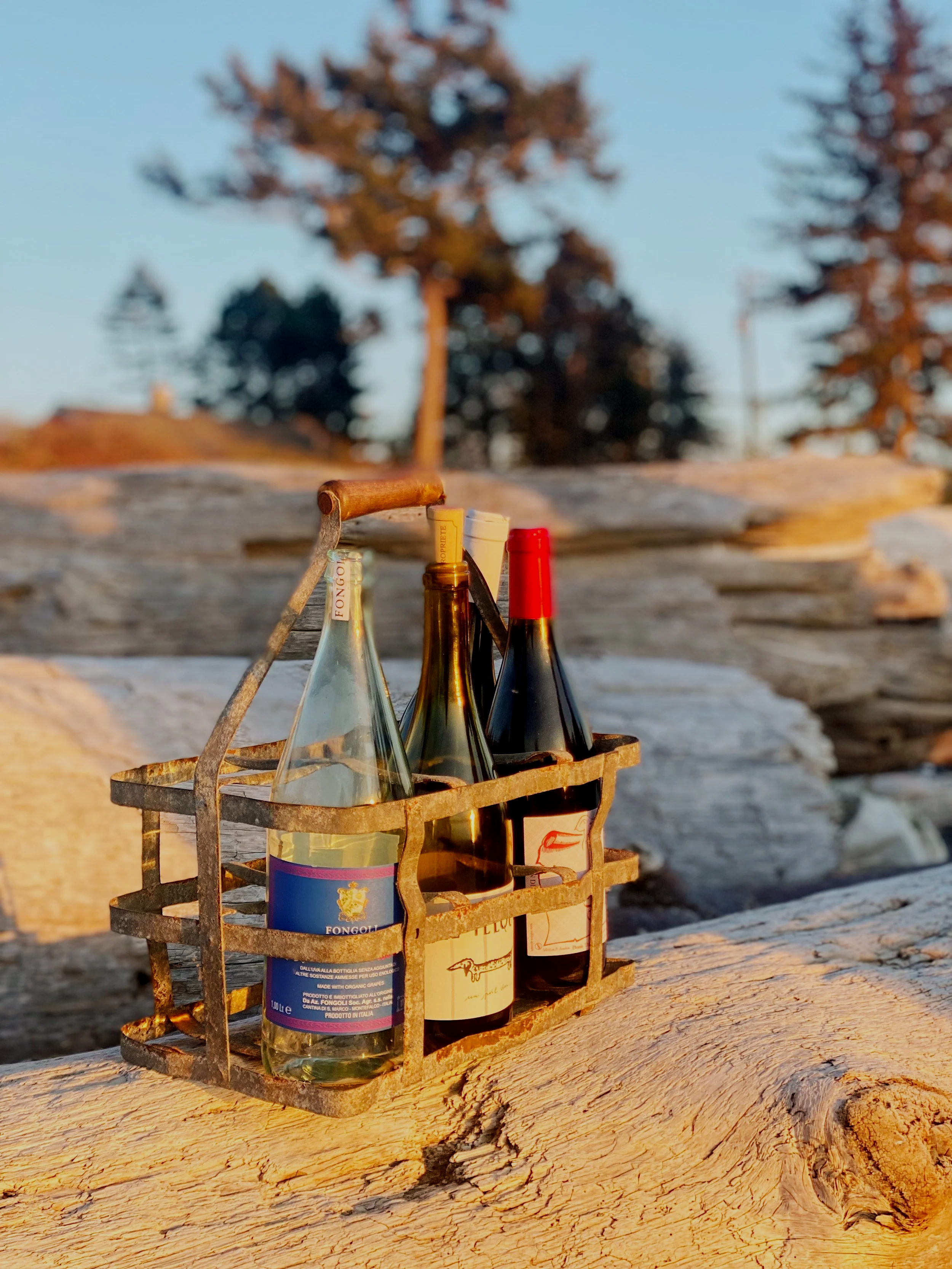 A metal wine bottle holder with three wine bottles inside, resting on a large, weathered tree branch outdoors with trees in the background during golden hour.
