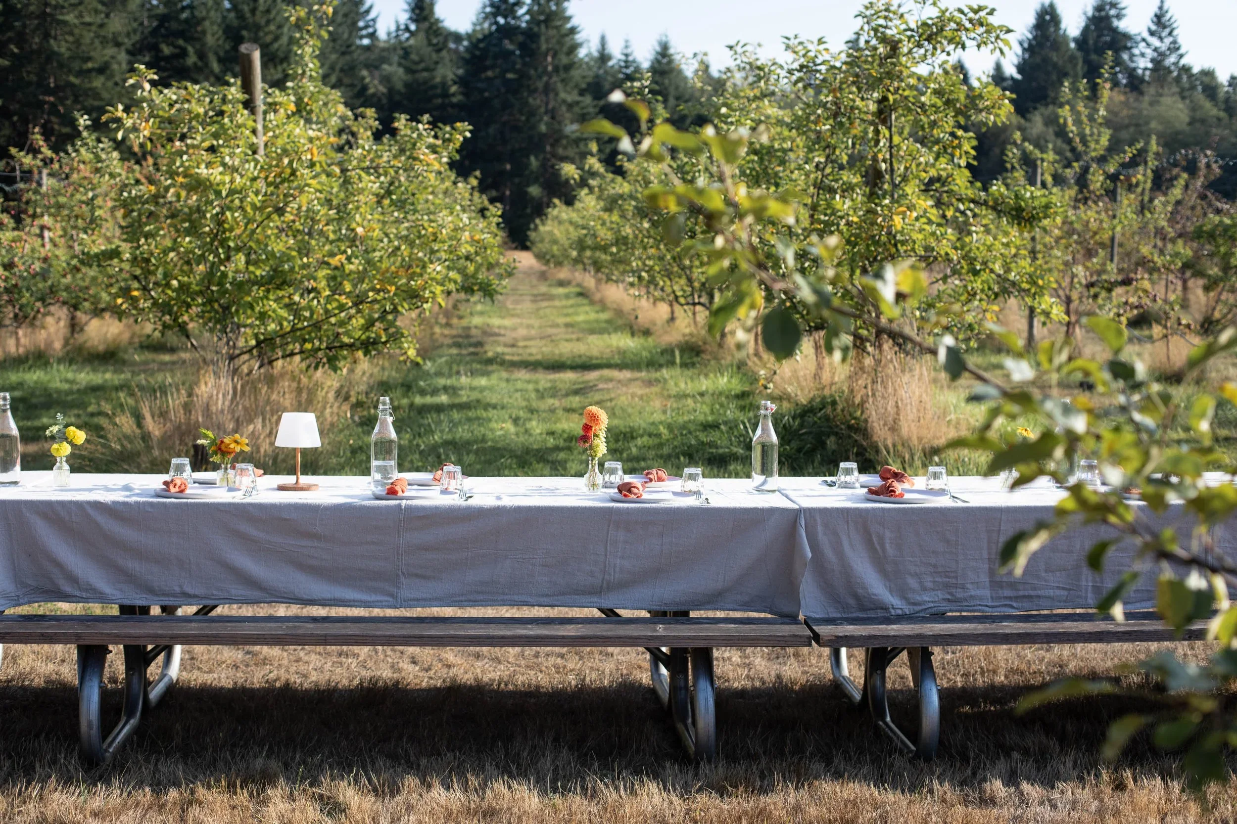 Dragonshead Cider Dinner- September 5th