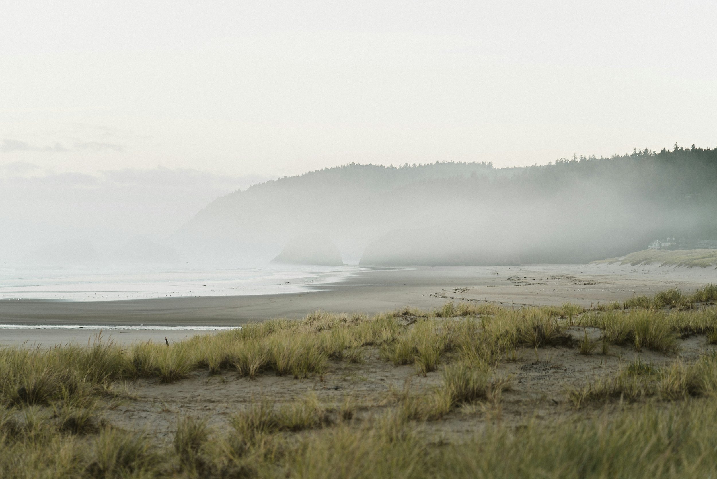 A foggy beach with grassy dunes, sandy shore, and distant cliffs covered in trees.