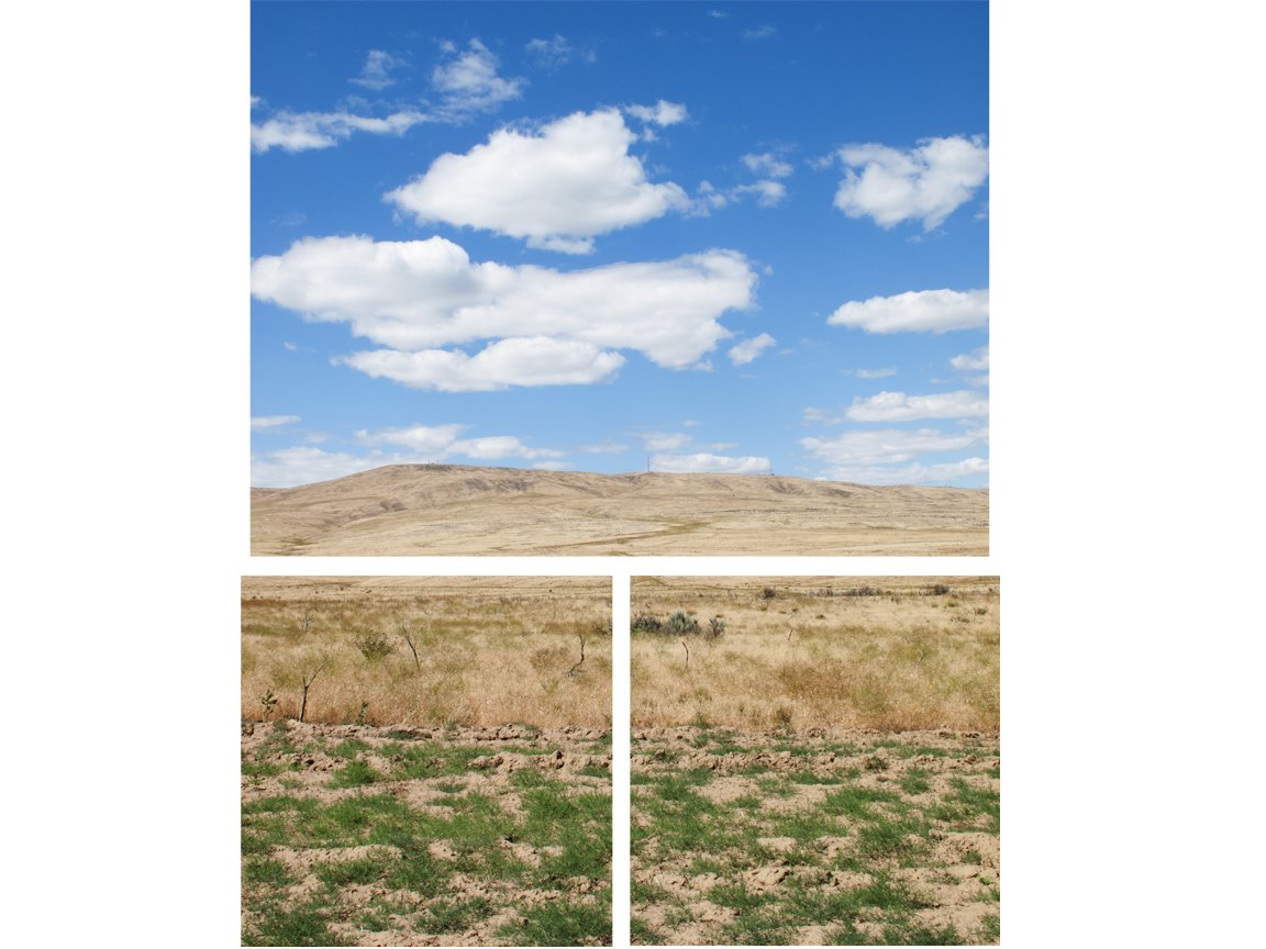 The Hills | Yakima, WA