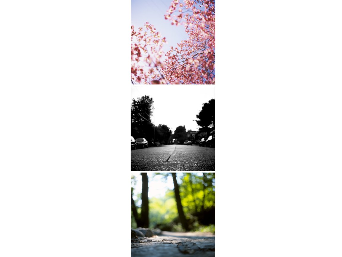 Nature vs City | Seattle, WA, Milwaukee, WI