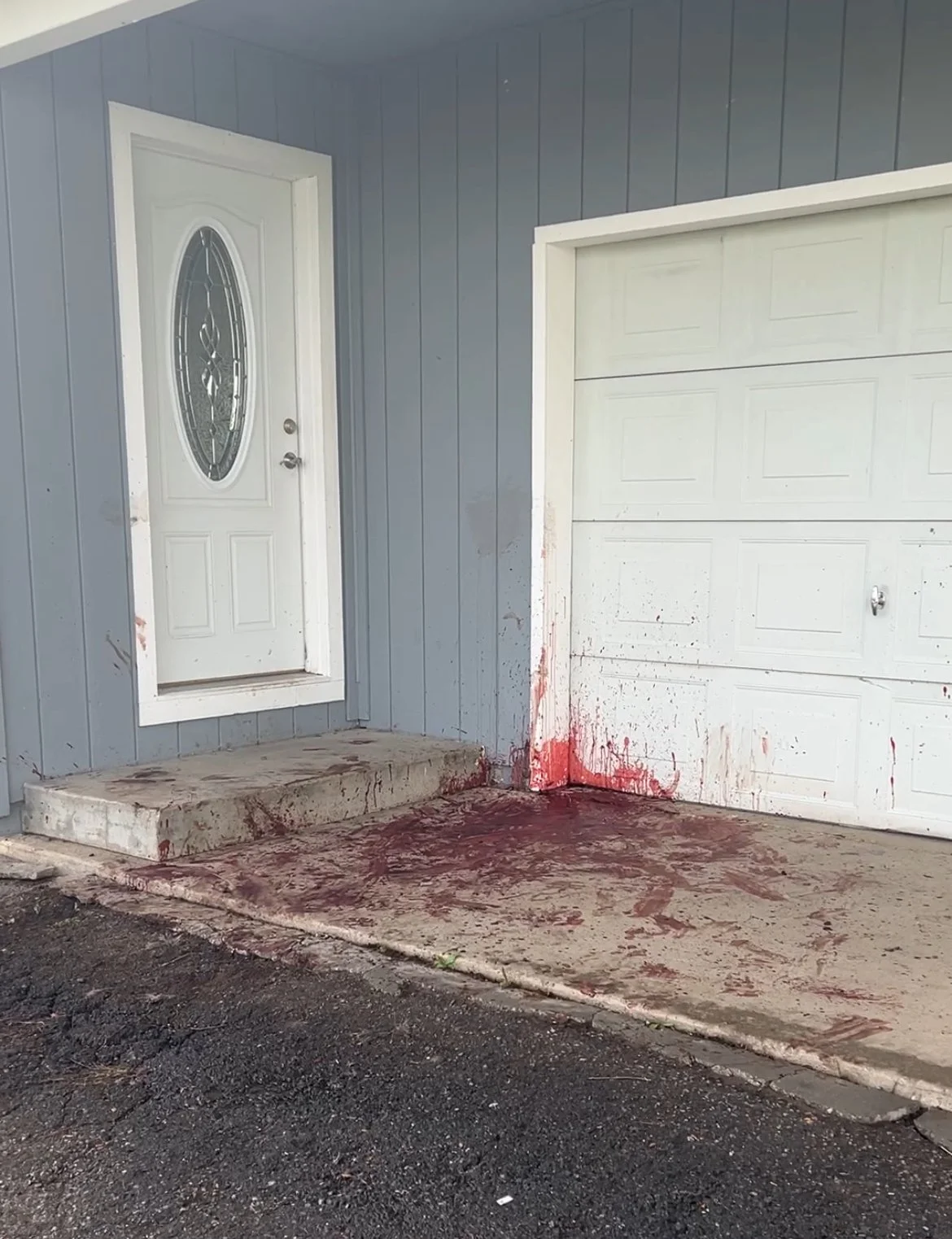 Elk killed on Sierra County doorstep by wolves