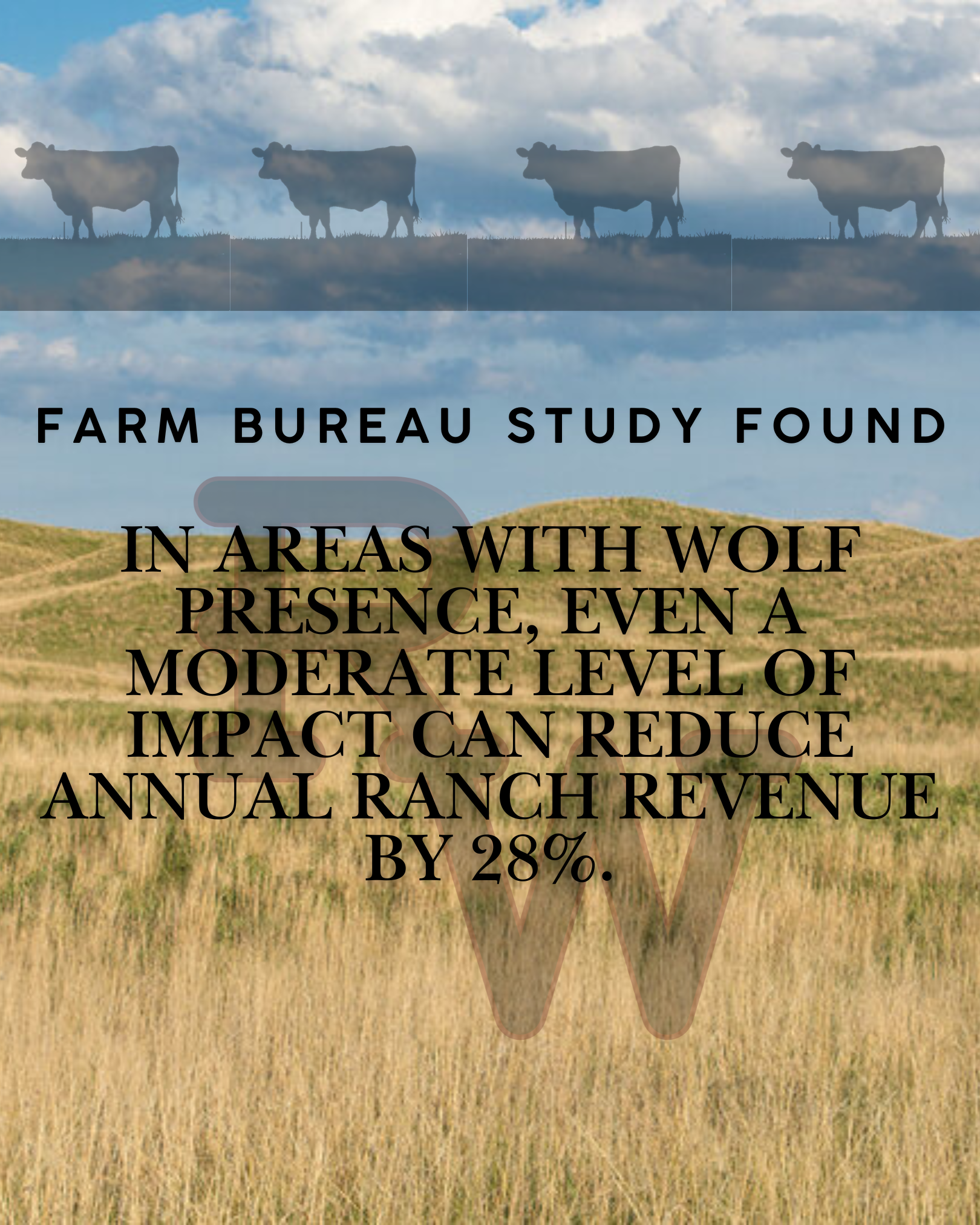 Ranches with Wolves | Support Ranchers – Act Now