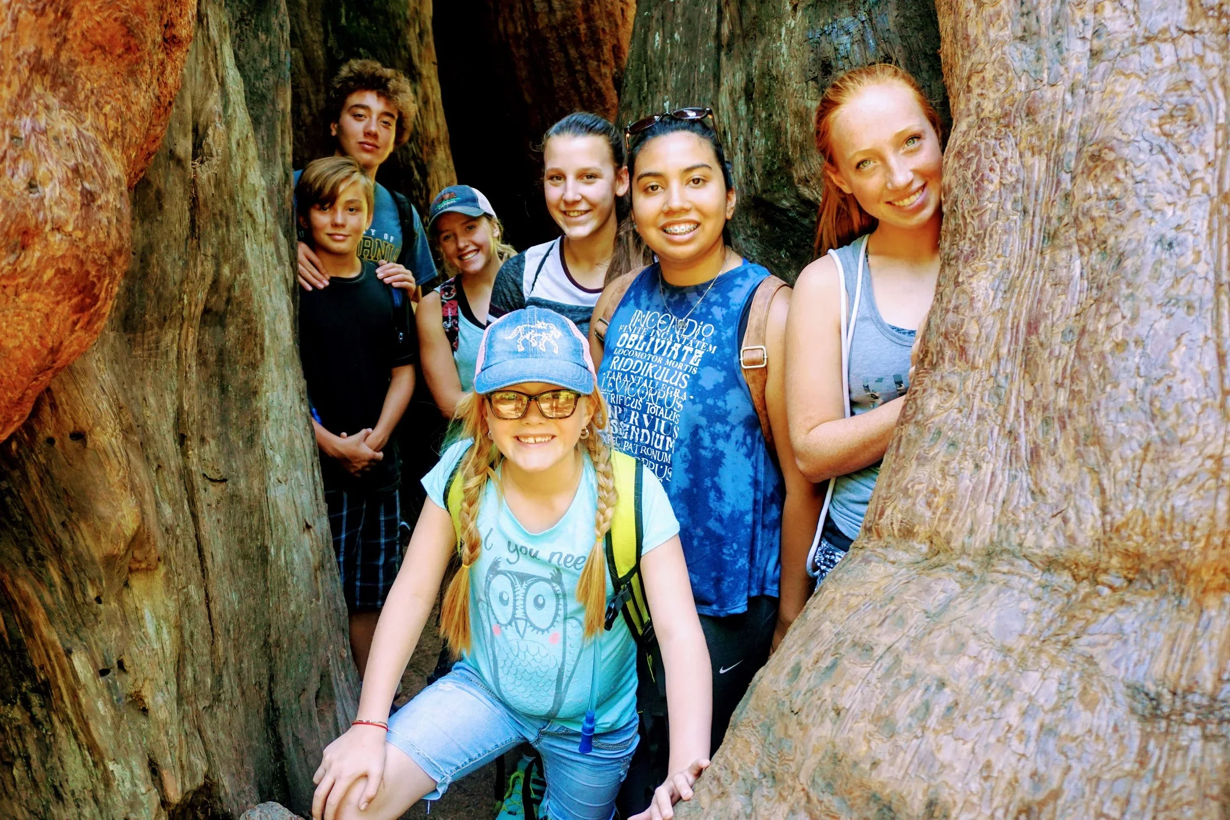 Group of children and teenagers exploring a narrow crevice between two large trees during a hike in a forest.