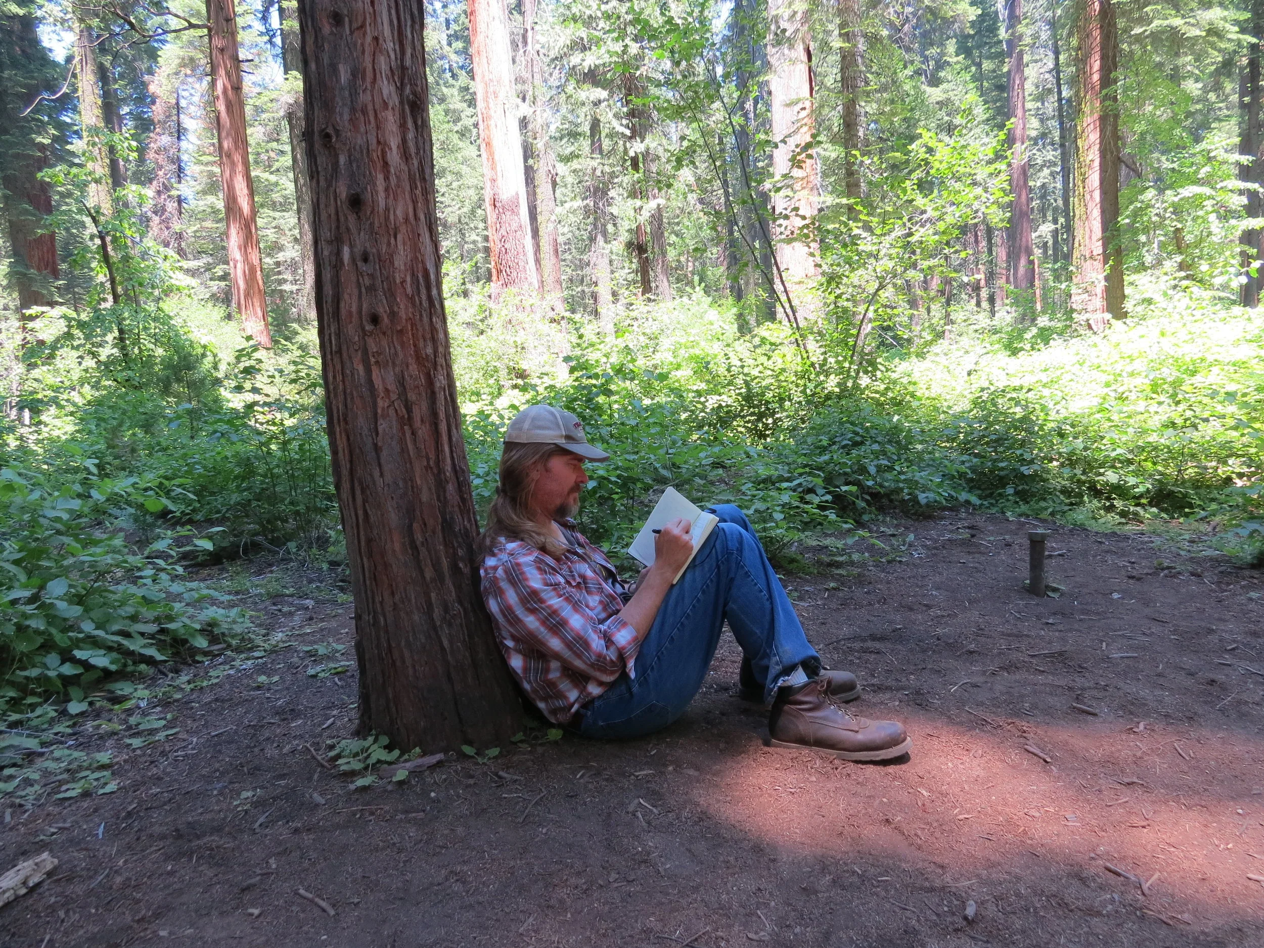 A man sitting on the ground leaning against a large tree in a forest, writing in a notebook or journal.