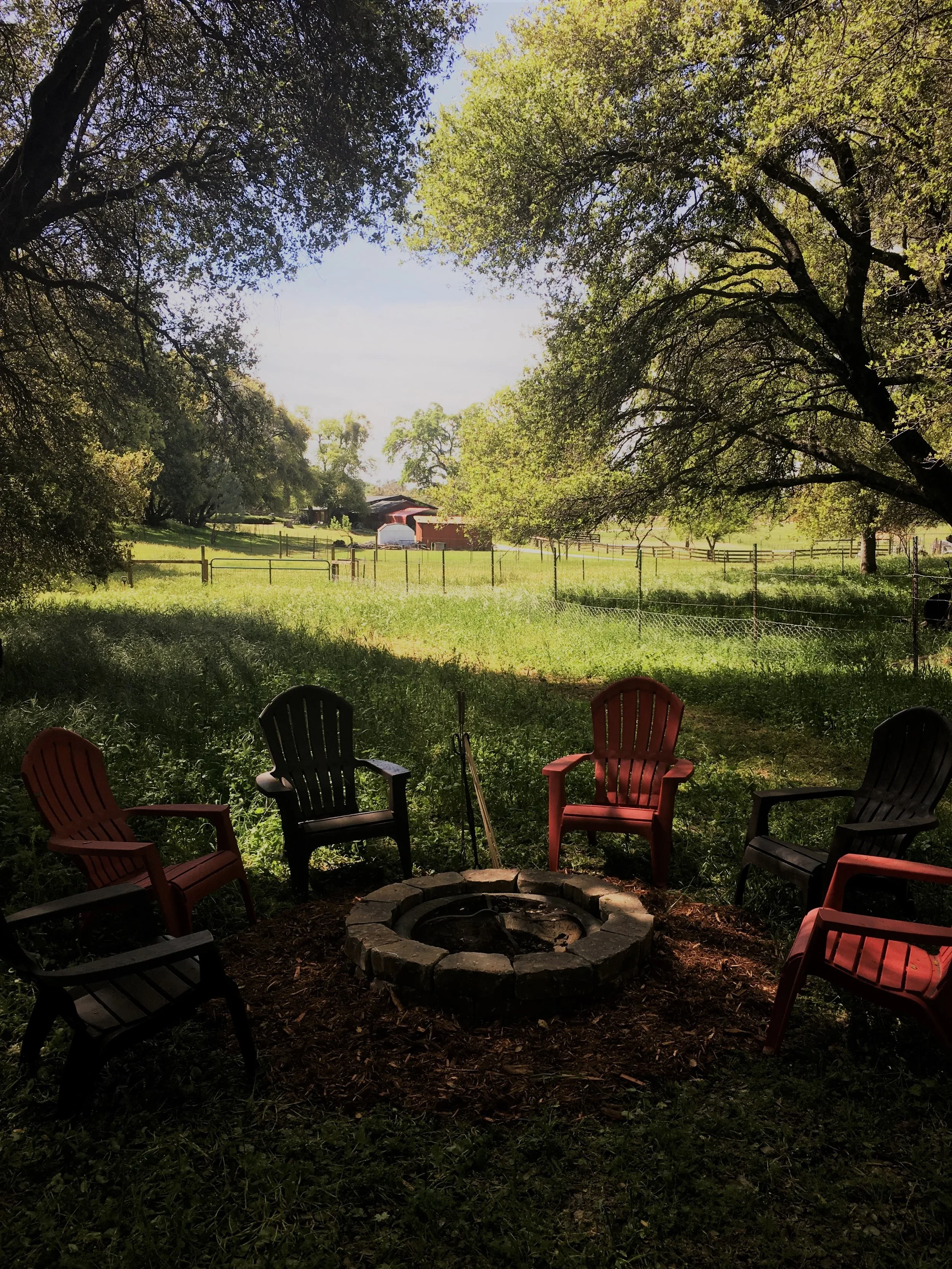 A backyard scene with a circle fire pit surrounded by six chairs in red and black, with large shade trees, a grassy yard, fencing, and buildings in the background.