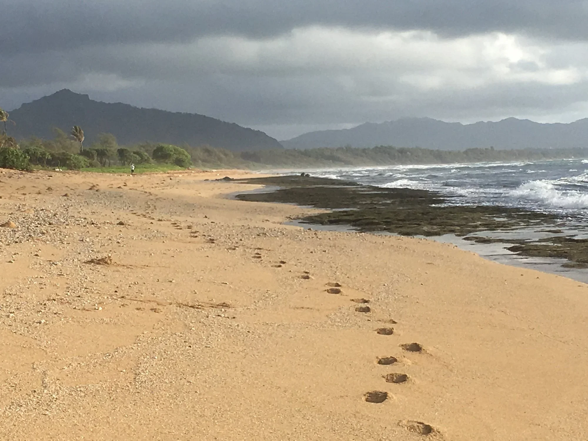 Footprints in the sand on a beach with waves, palm trees, and mountains under cloudy skies.