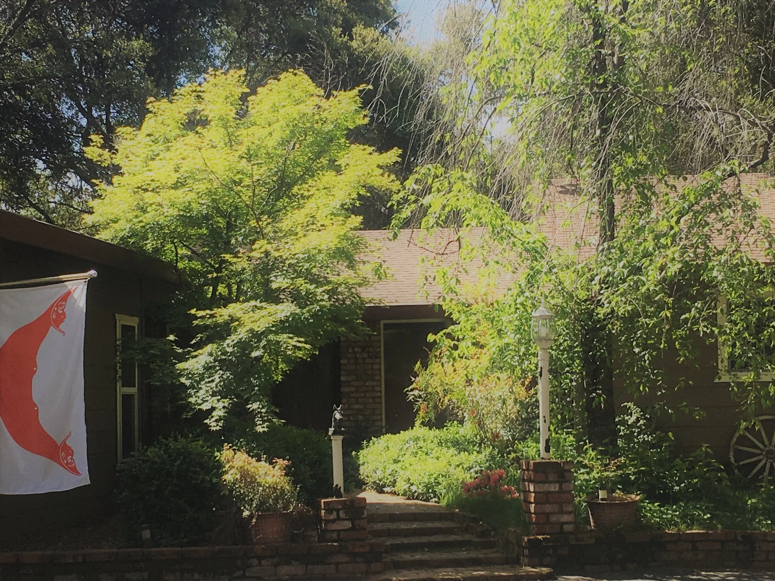 A front yard with lush green trees, bushes, and plants, brick steps leading to a house with a brown roof, and a flag with a red fish design on a white background hanging on the left.