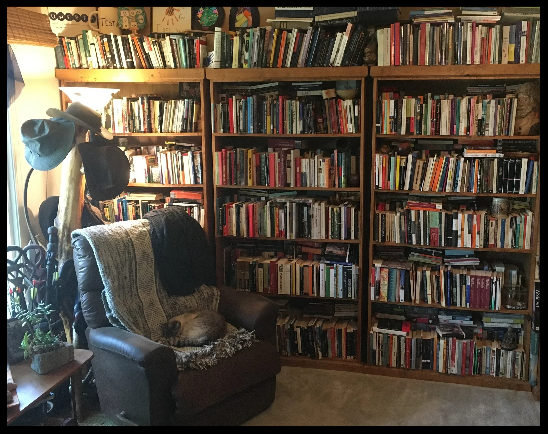 A cozy reading nook with a brown leather armchair, a blanket, and a sleeping cat. There are three large wooden bookshelves filled with books behind the chair, a small side table with a plant, and hats hanging on a coat rack. A lamp on the left provid