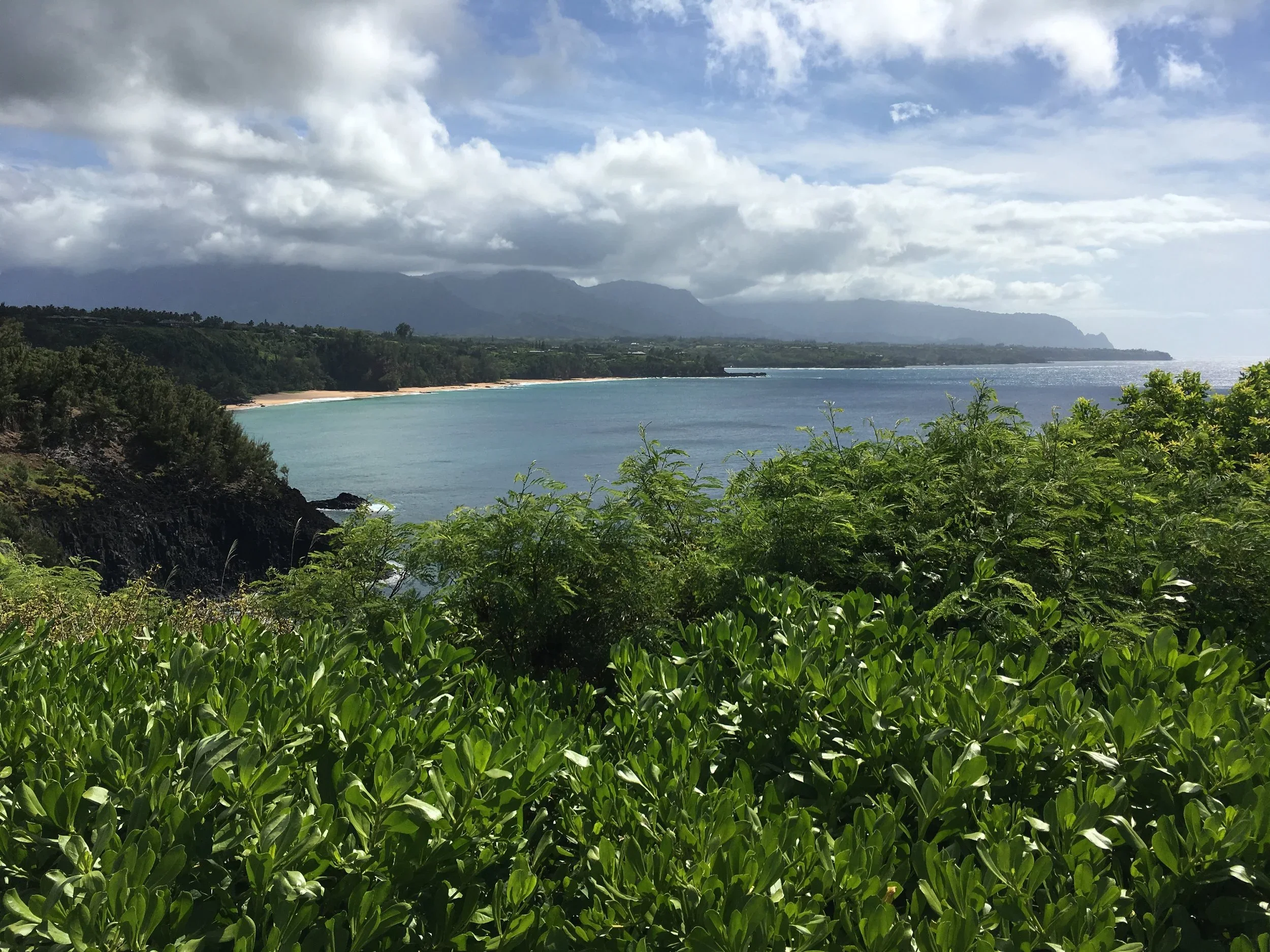 A coastal scene with green bushes in the foreground, a sandy beach along the shoreline, calm blue water, and mountains in the background under a partly cloudy sky.