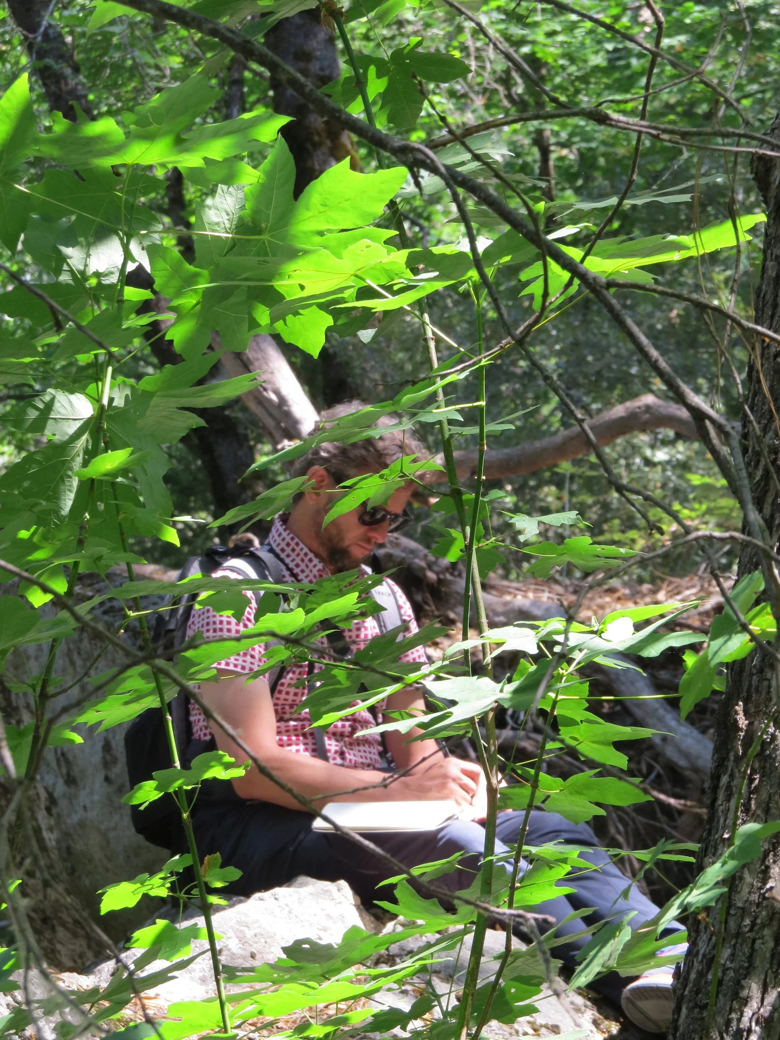 A man sitting outdoors on a rock, surrounded by green leaves and trees, writing or drawing in a notebook.
