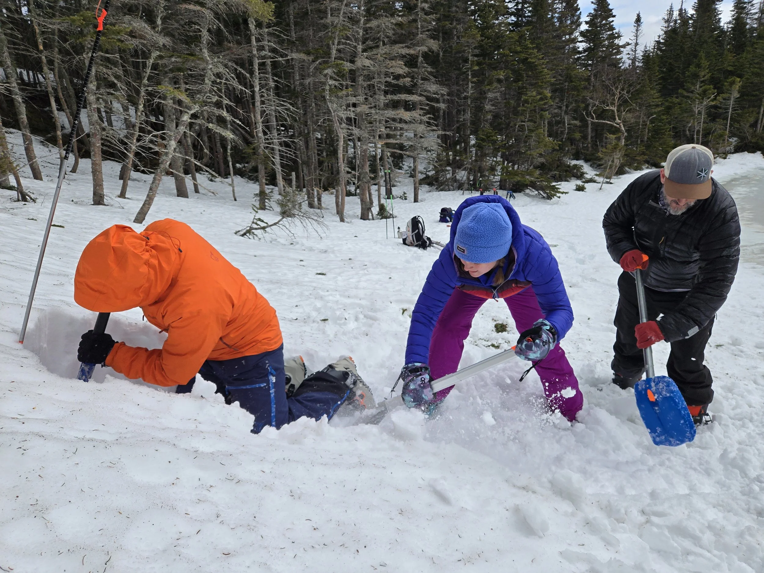 Practicing strategic shoveling on an AIARE Avalanche Rescue Course
