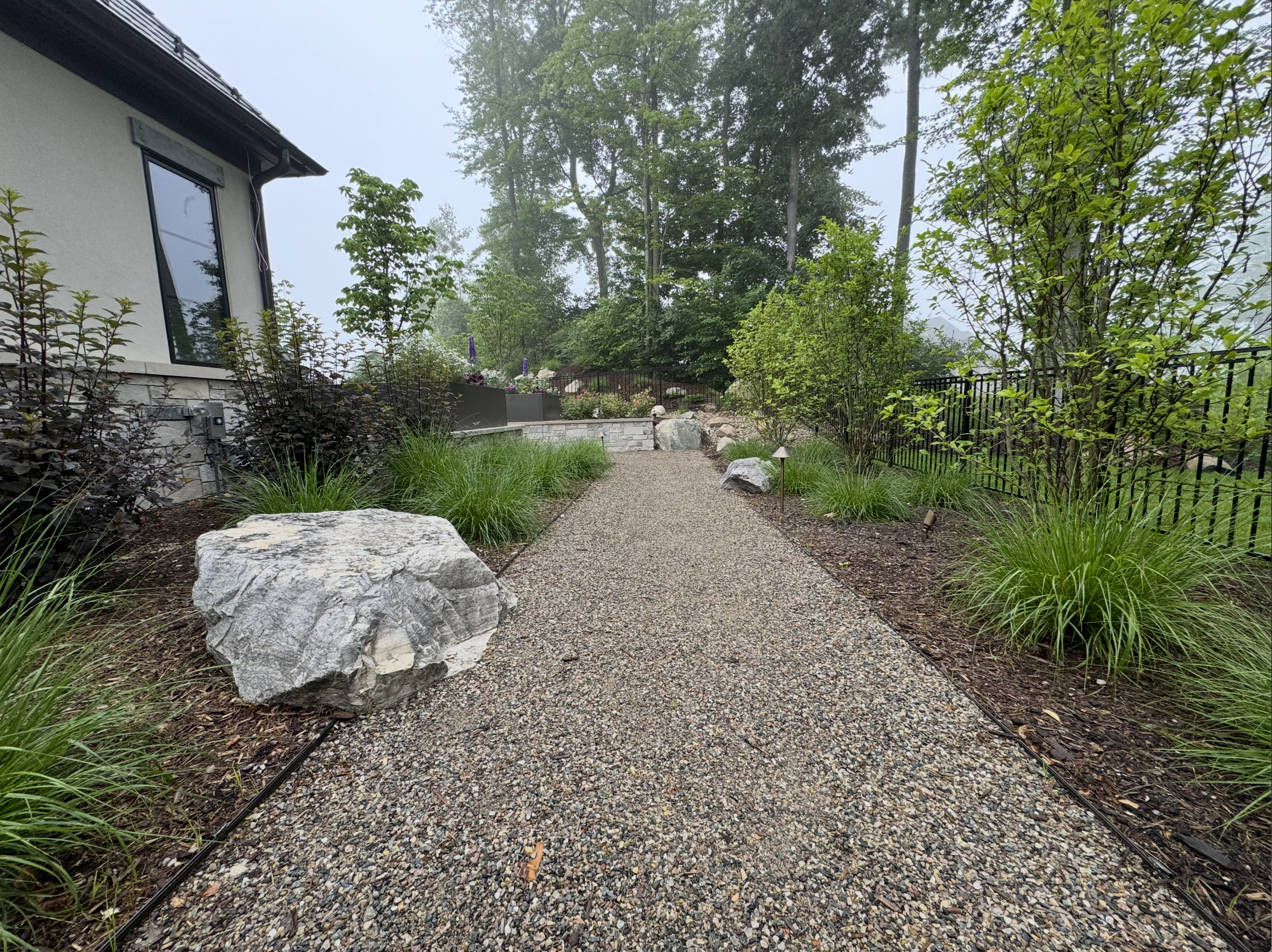 A gravel garden path bordered by plants and rocks, leading toward a residential backyard with trees and shrubs, and a house on the left.