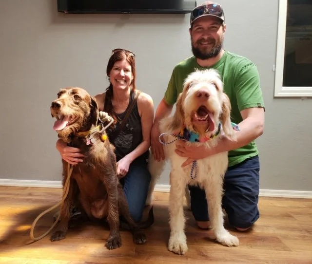 A woman and a man smiling inside a room, each holding a large dog, with a gray wall and a window in the background.