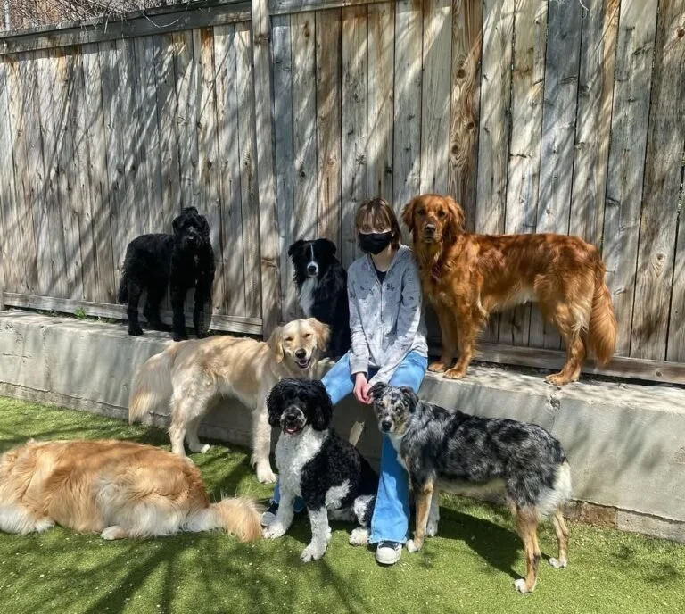 Cati sitting among eight dogs of various breeds outside.