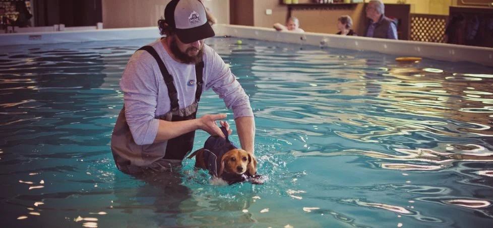 Barley’s Canine Recreation Center dog in swimmingpool and trainer
