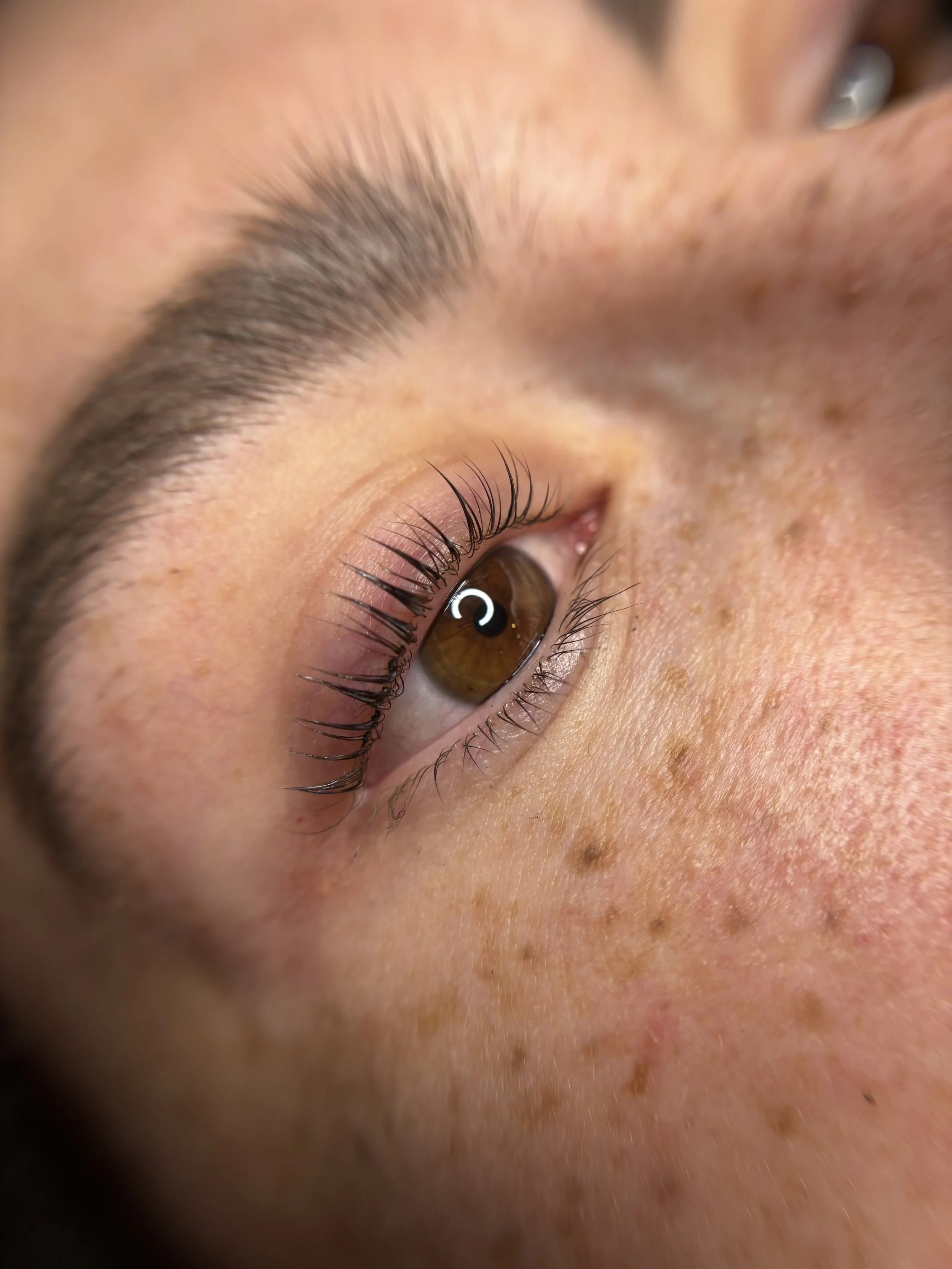 Korean Lash Lift and Tint