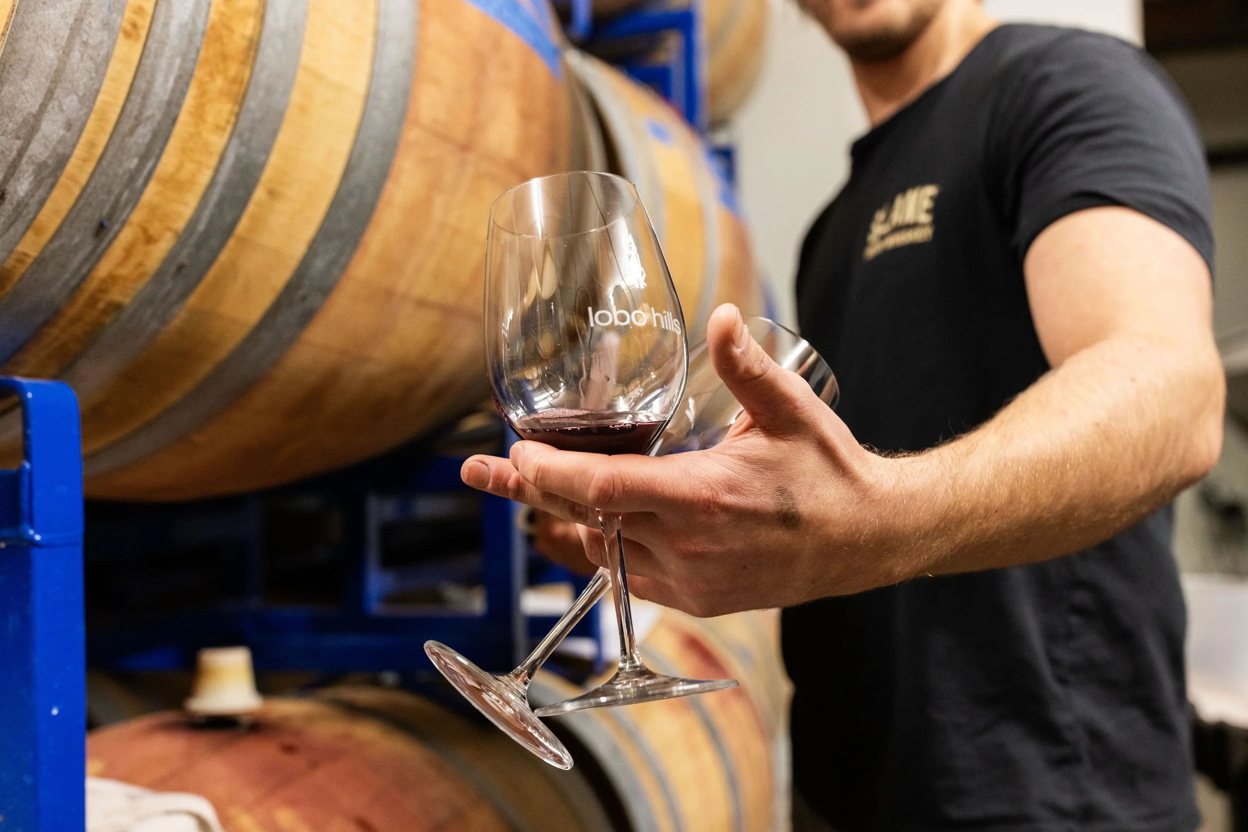 What We Mean by Minimalism at Lobo Hills