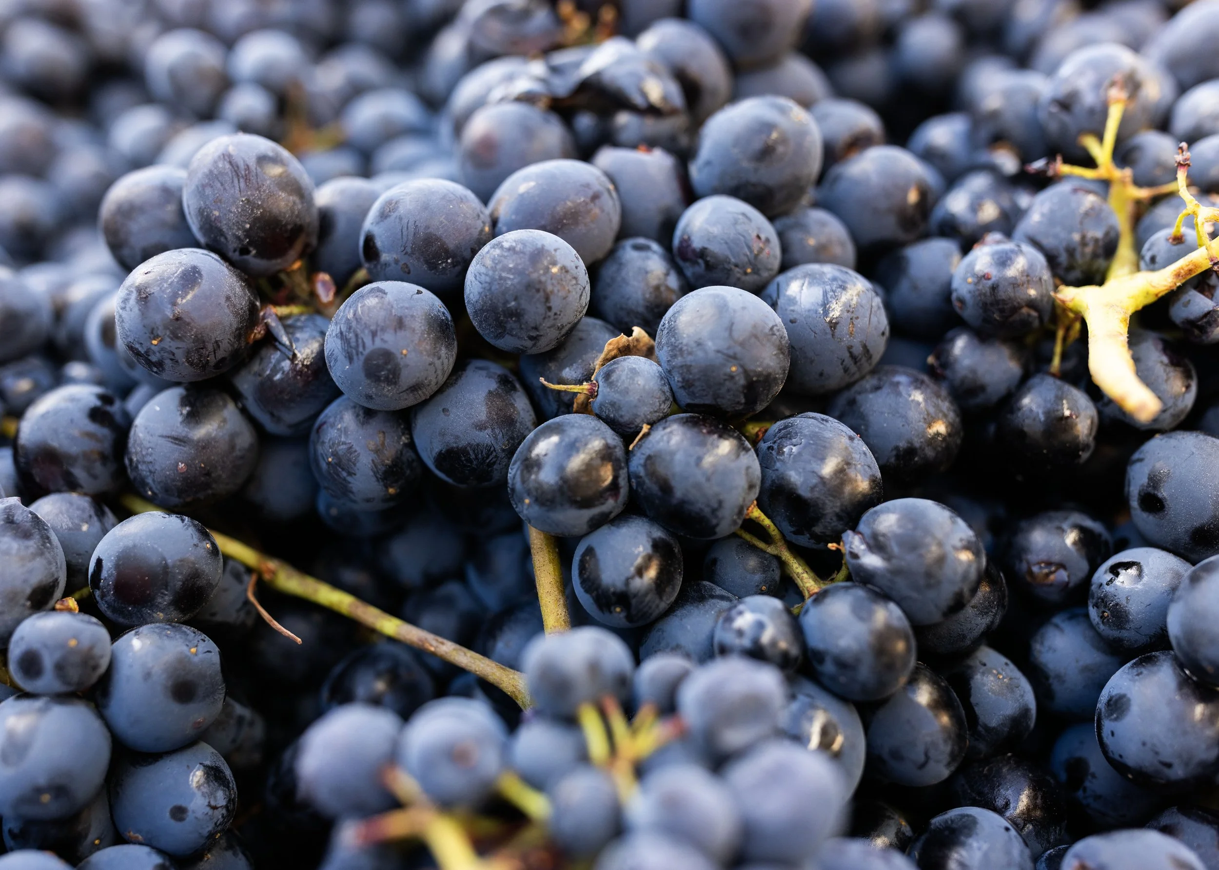 Minimalism Part II (aka… It’s Not As Easy As It Sounds)