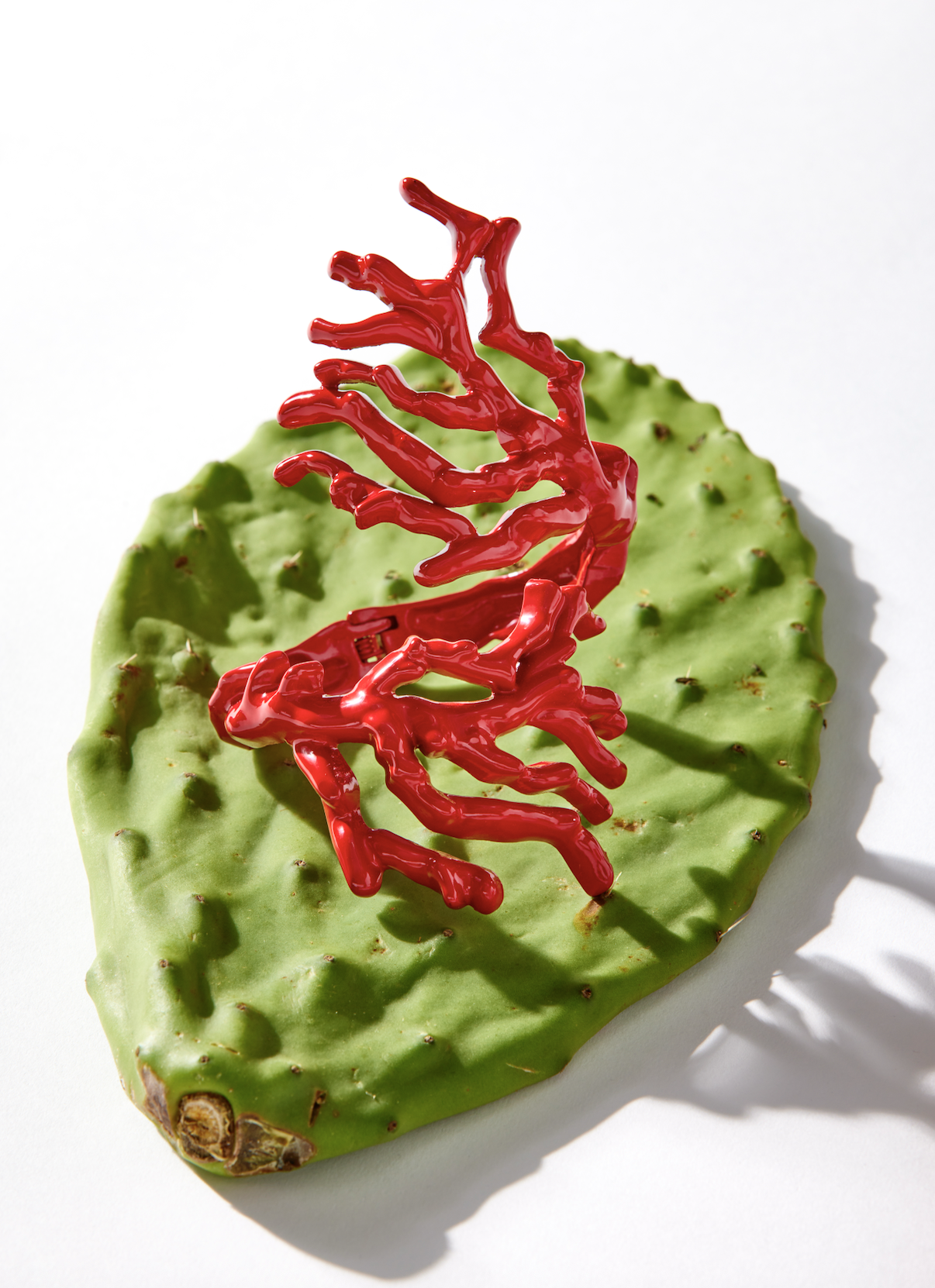 Screenshot 2025-11-06 at 12.05.29 PM.png