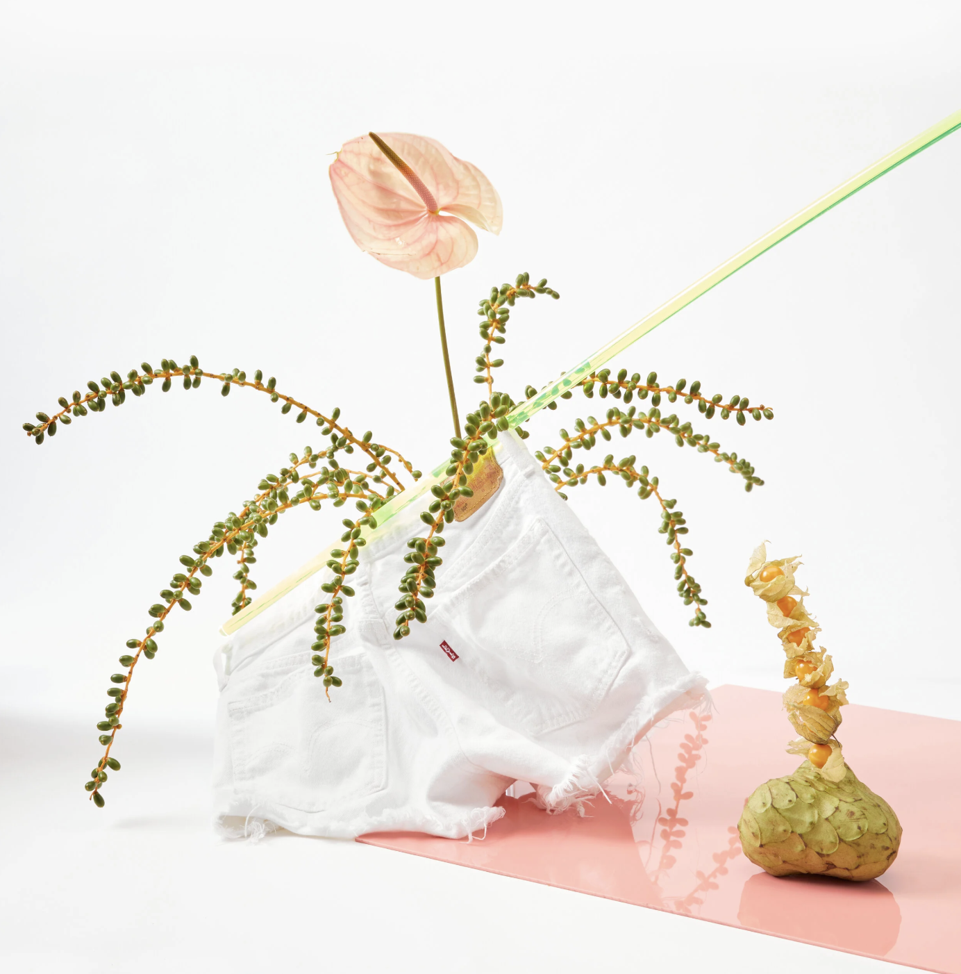 Screenshot 2025-11-09 at 2.48.23 PM.png