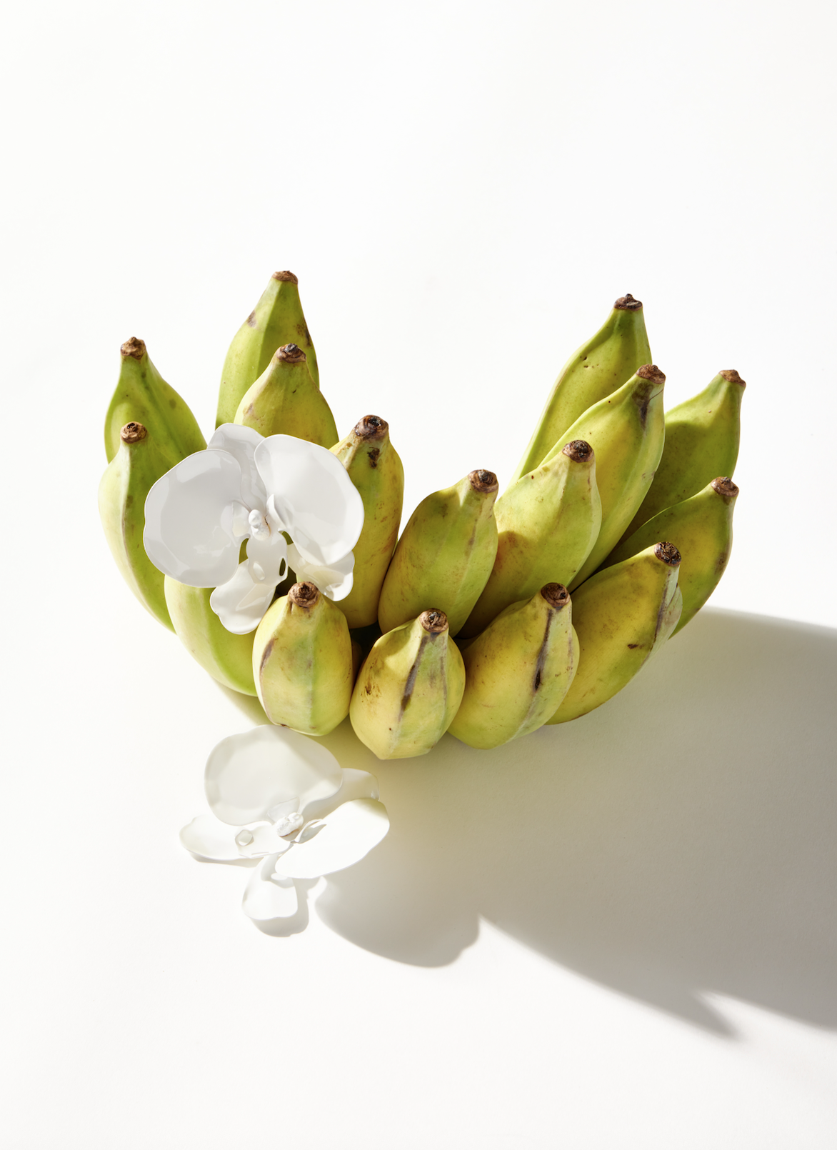 Screenshot 2025-11-06 at 12.06.34 PM.png