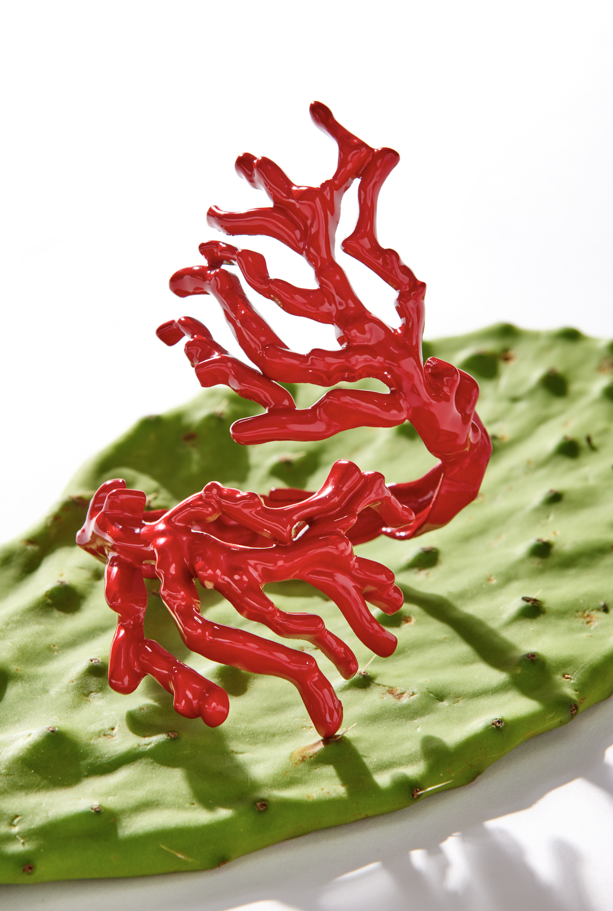 Screenshot 2025-11-06 at 12.05.20 PM.png