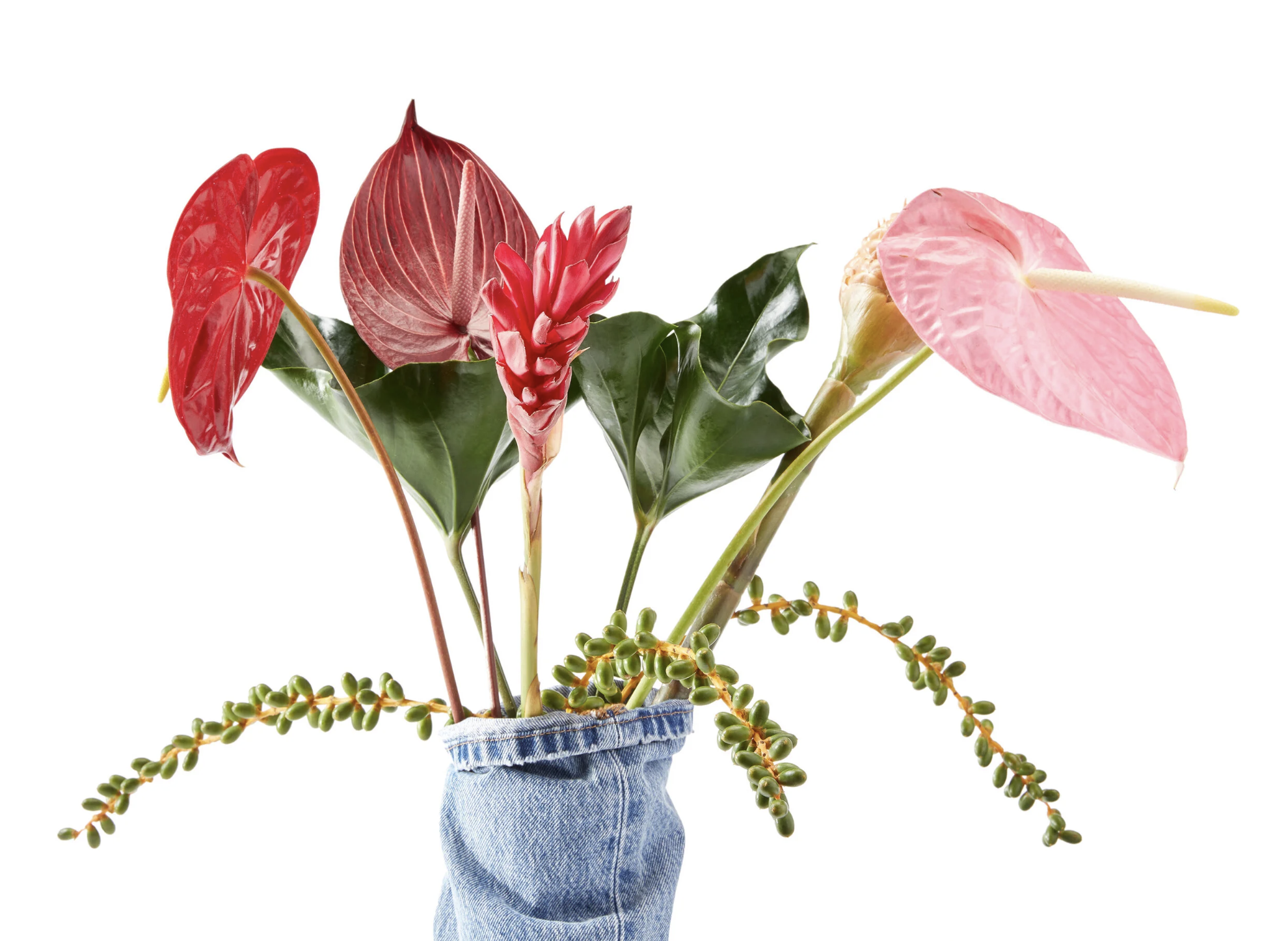 Screenshot 2025-11-09 at 2.48.33 PM.png