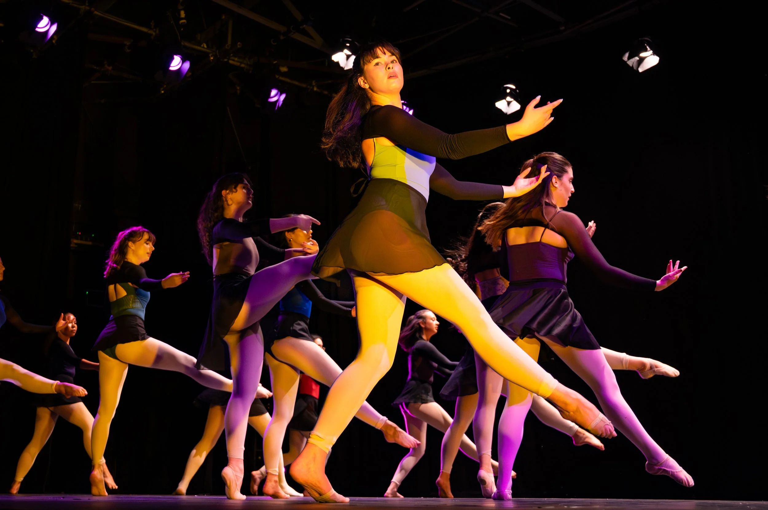 DSC_6527.jpg