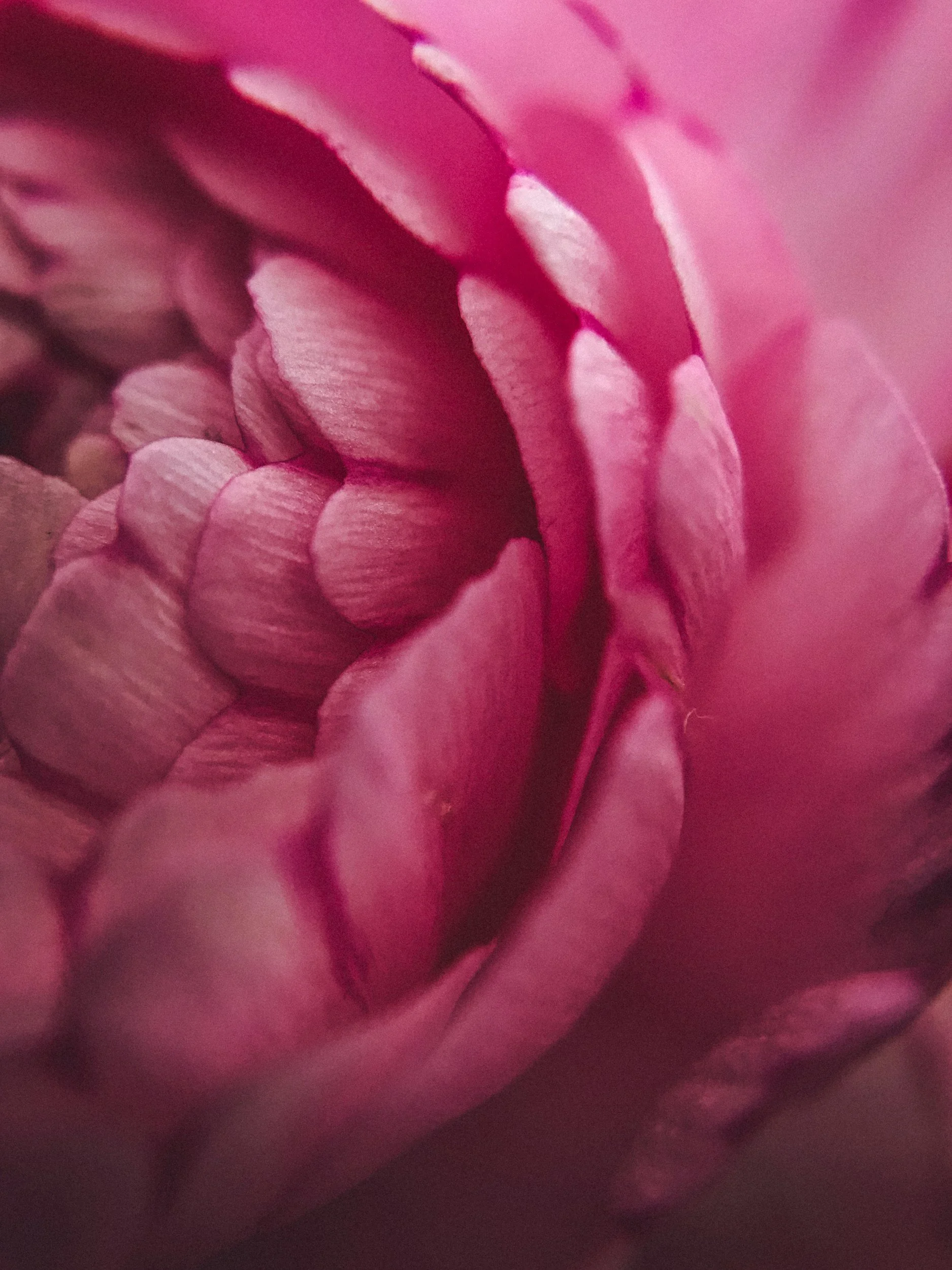 Yoga Therapy Tools for Stress and Anxiety