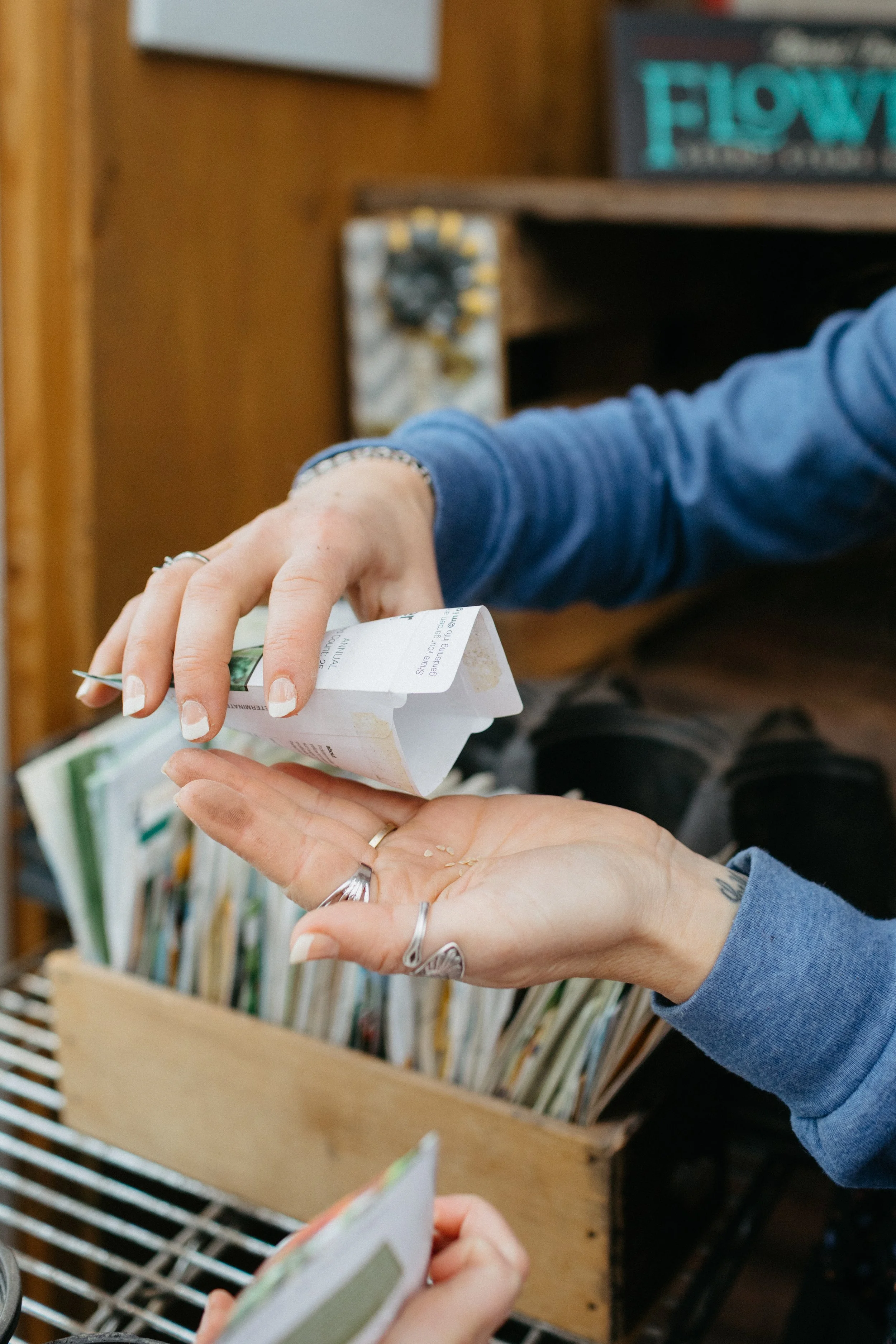 February workshop- Seed starting