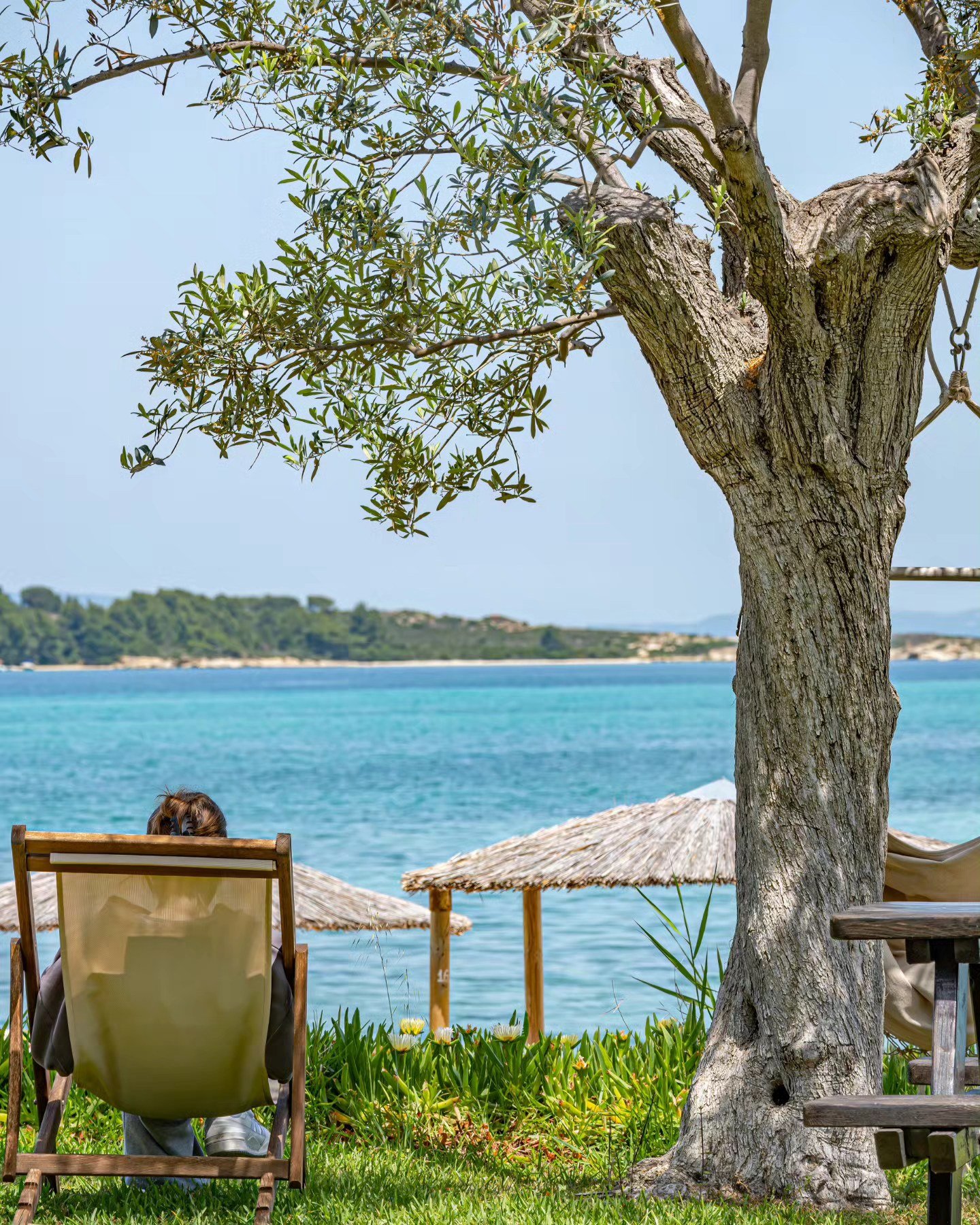 A writer relaxing on a lounge chair by the sea, with a straw hut and trees nearby, and a view of a distant shoreline with greenery under a clear blue sky.