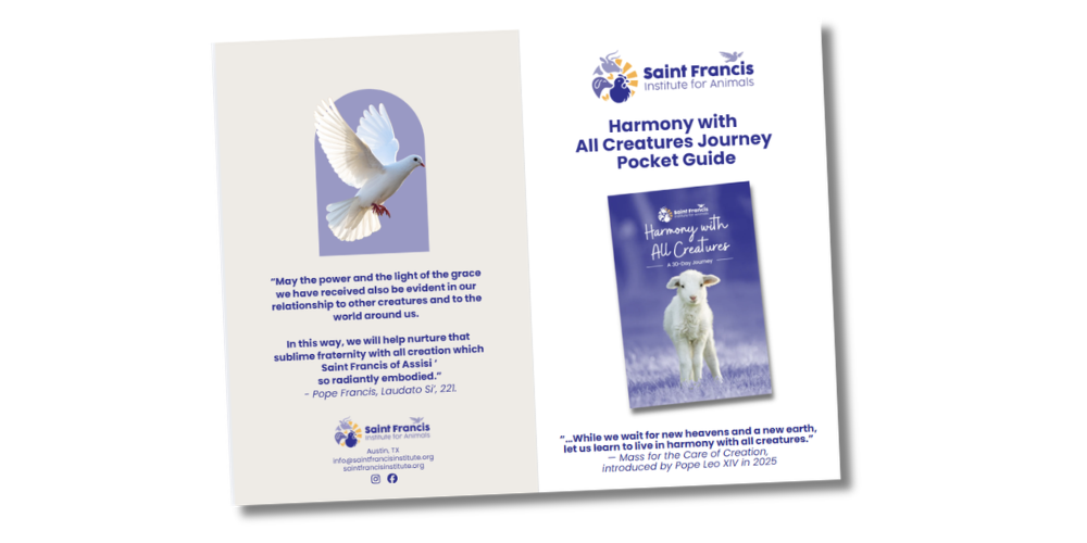 Thumnail saying "Harmony with All Creatures Journey Pocket Guide" with a dove on back and lamb on cover