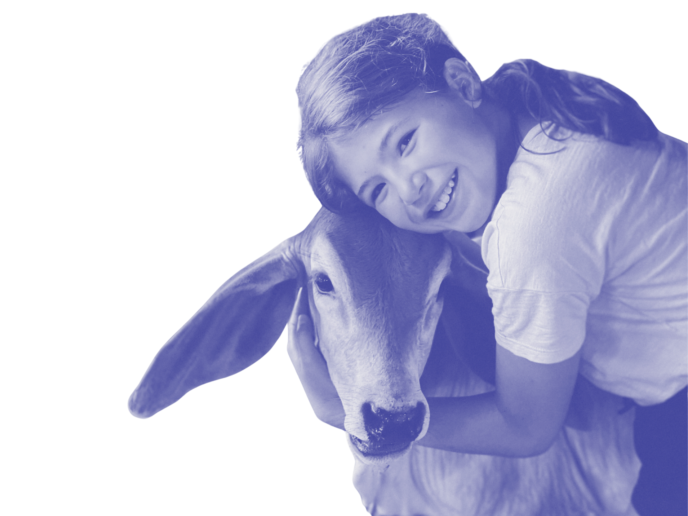 Young girl with curly hair hugging a calf