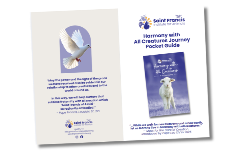 Printable Brochure: 30-Day Harmony with All Creatures Journey