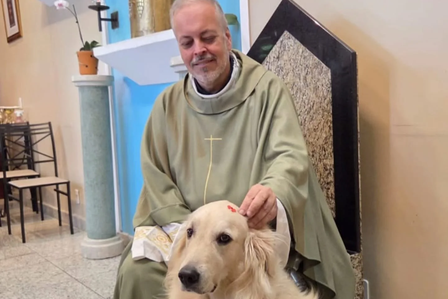 Meet the Catholic Priest Helping Stray Dogs Find Safety and Loving Homes