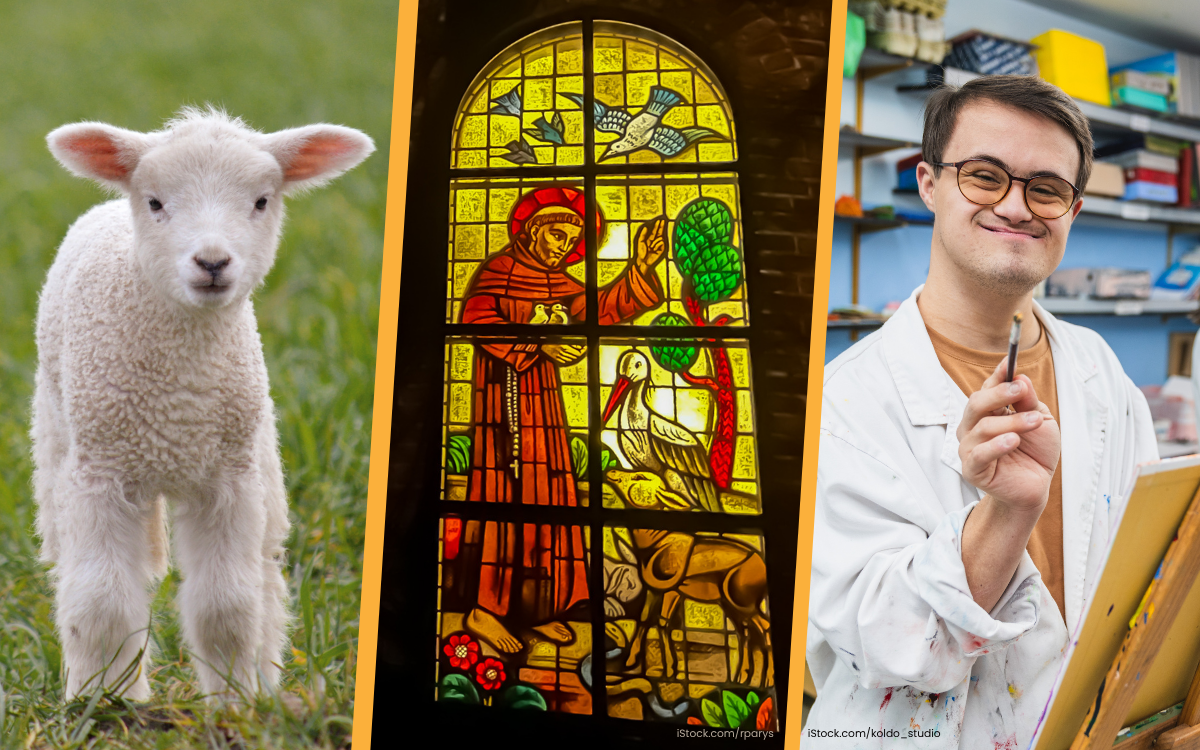 Trio of photos: Lamb, stained glass image of Saint Francis with animals, man painting