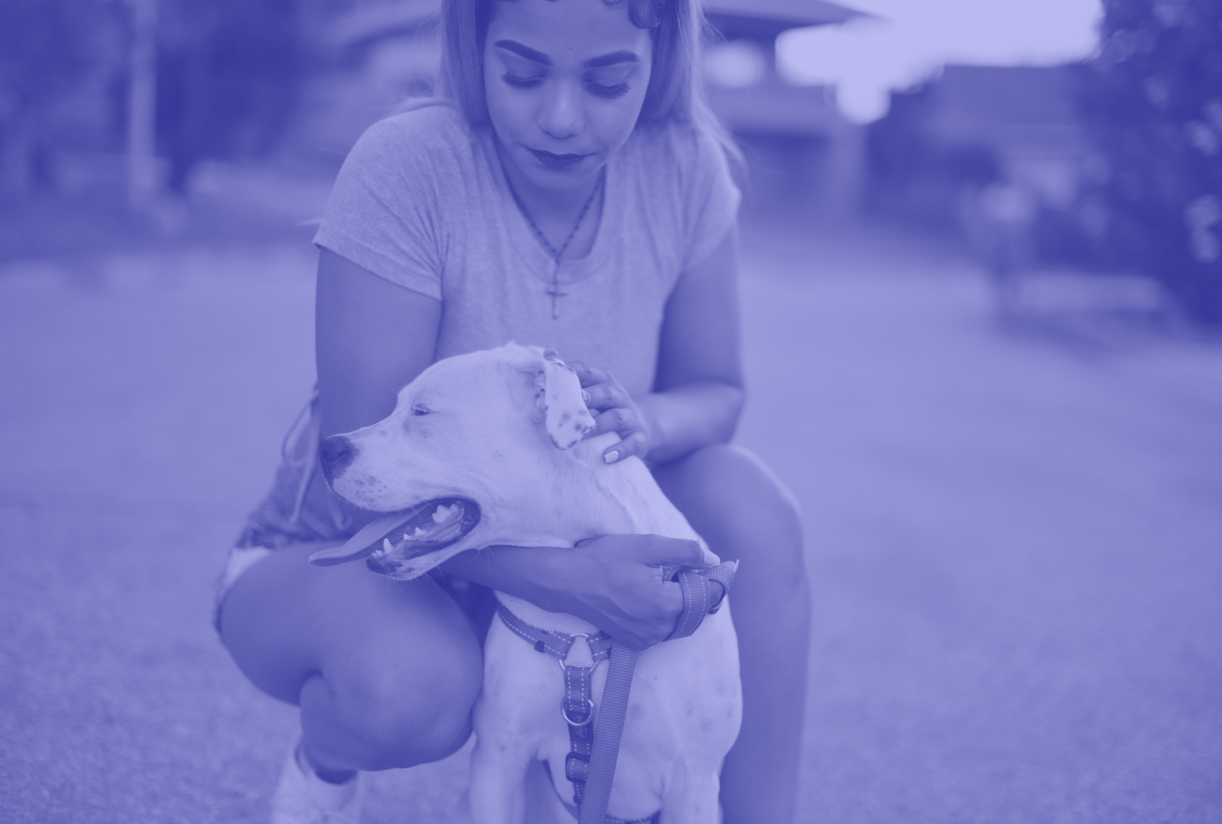 A woman crouching down and smiling while holding a happy, white and brown dog with a harness in an outdoor park