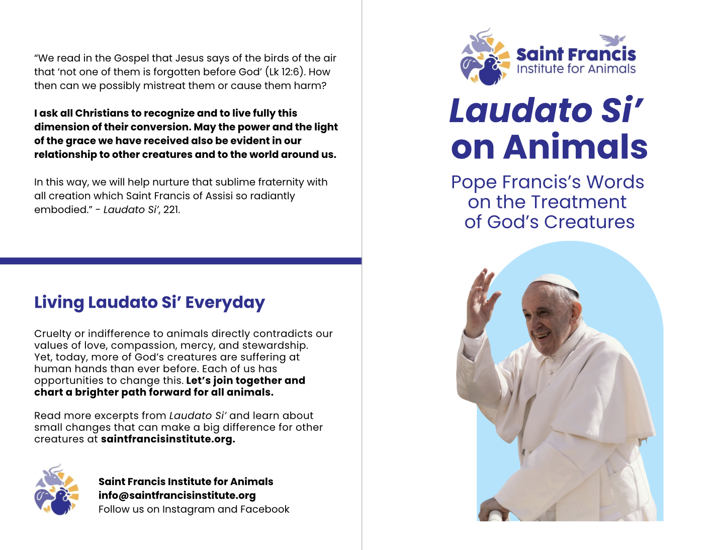 SFIA Laudato Si Brochure Preview